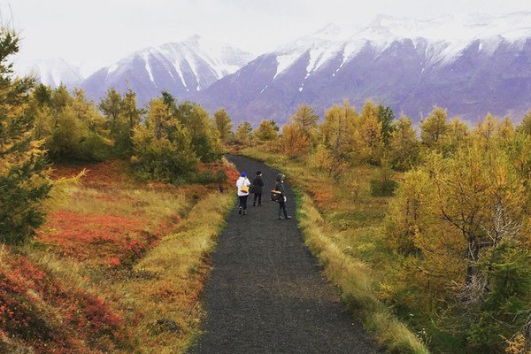 Iceland wanderers.jpg