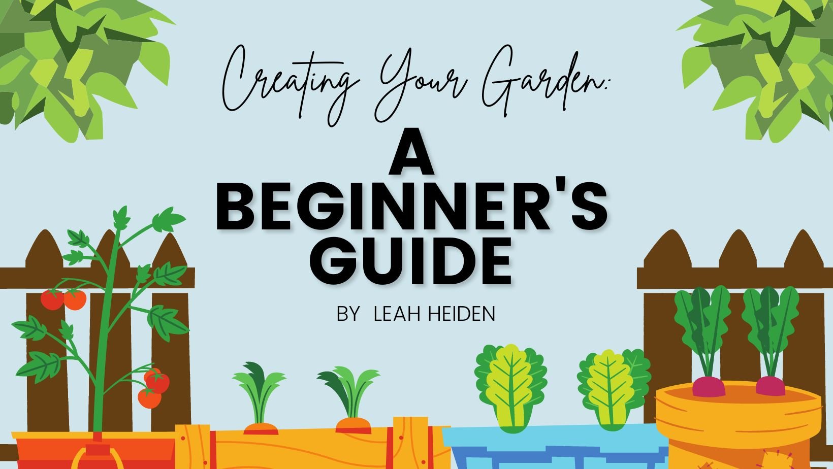 Creating Your Garden: A Beginner's Guide