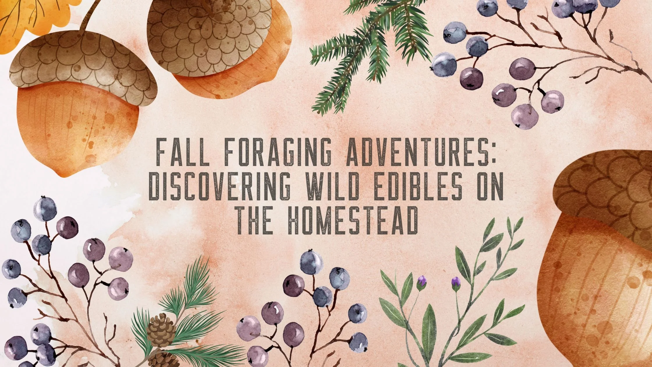 Fall Foraging Adventures: Discovering Wild Edibles on the Homestead