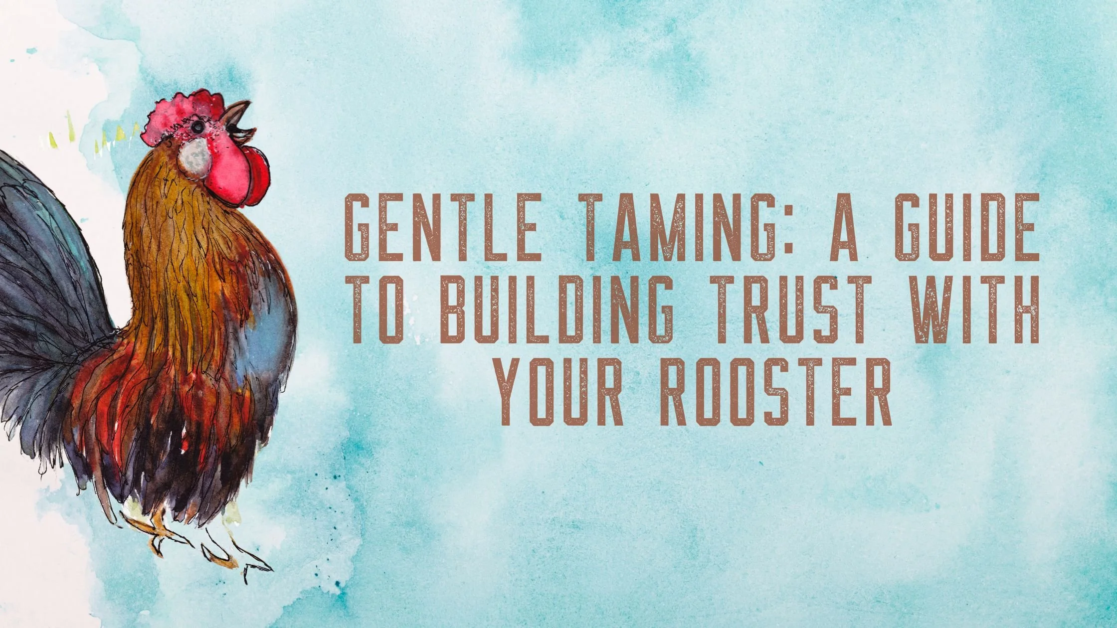 Gentle Taming: A Guide to Building Trust with Your Rooster