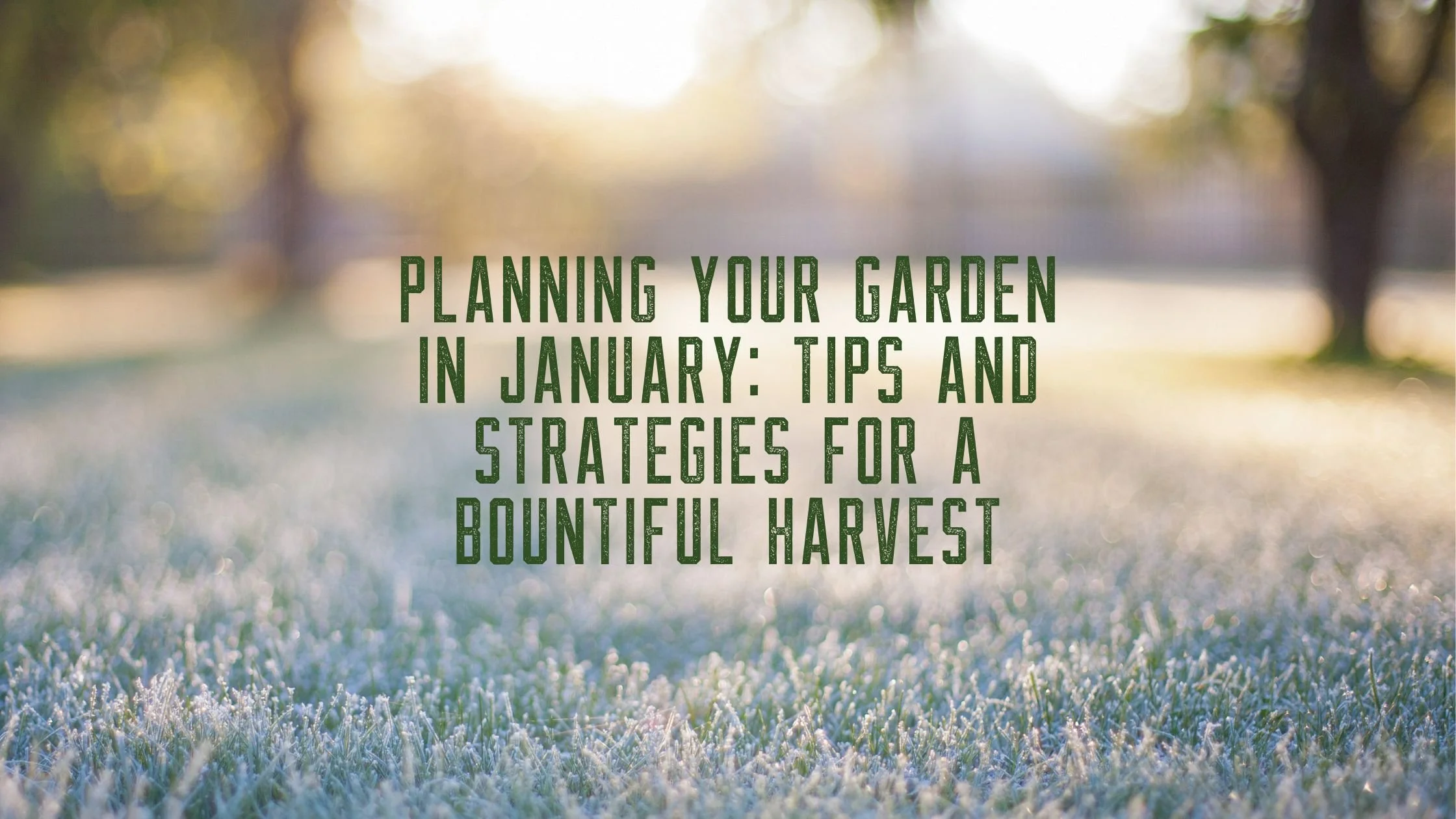 Planning Your Garden in January: Tips and Strategies for a Bountiful Harvest