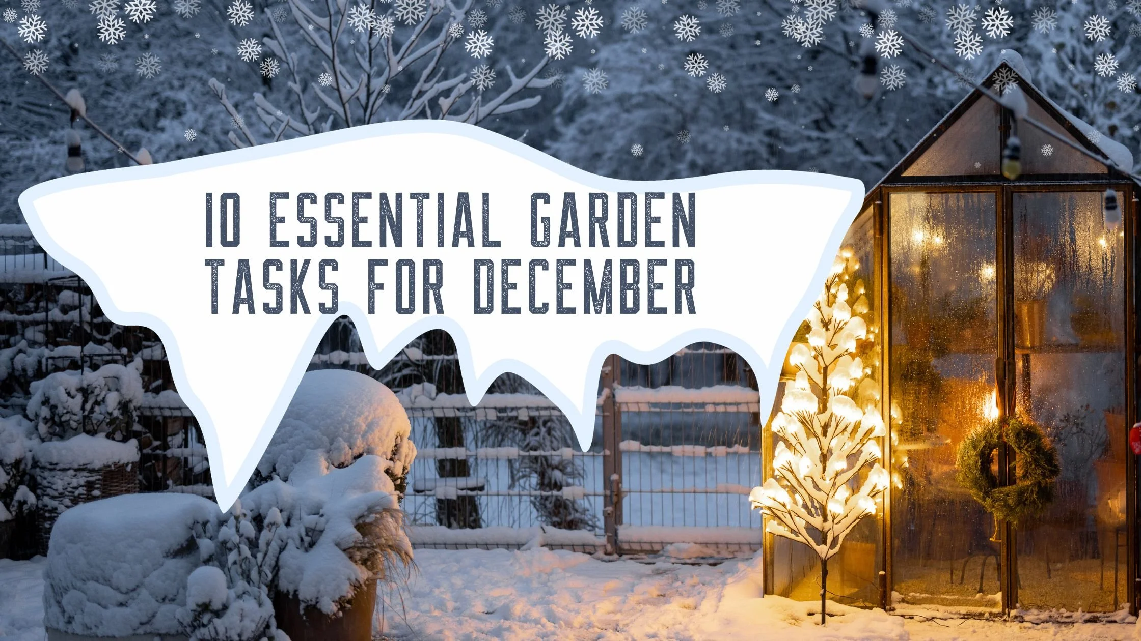Ten Essential Garden Tasks for December — Harvest Homesteaders