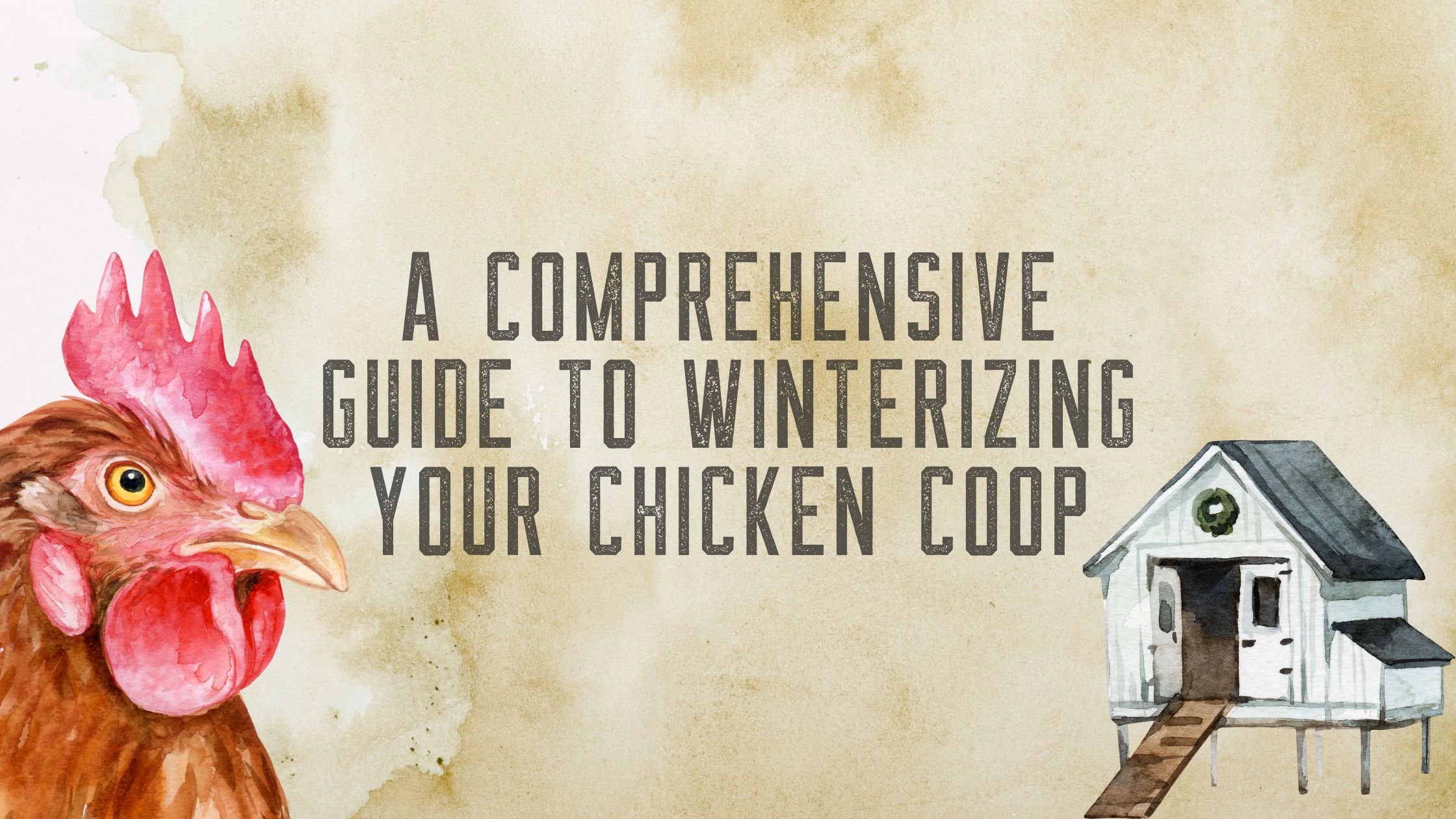 Winter Chicken Coop Preparation