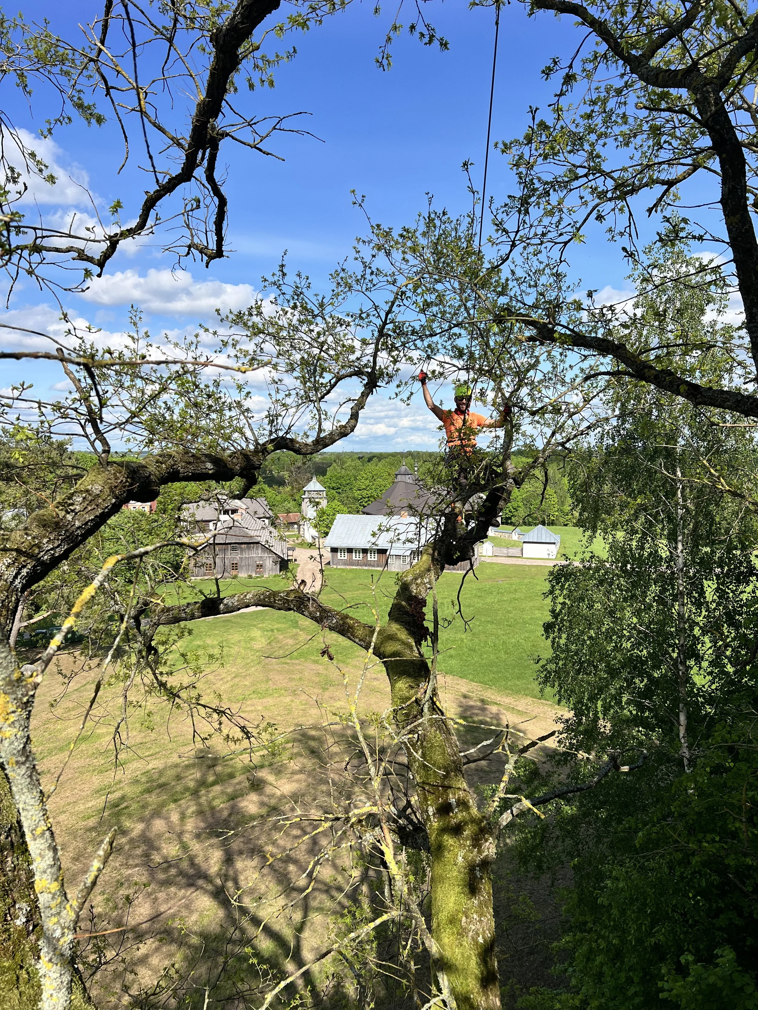 IMG_6693.jpeg