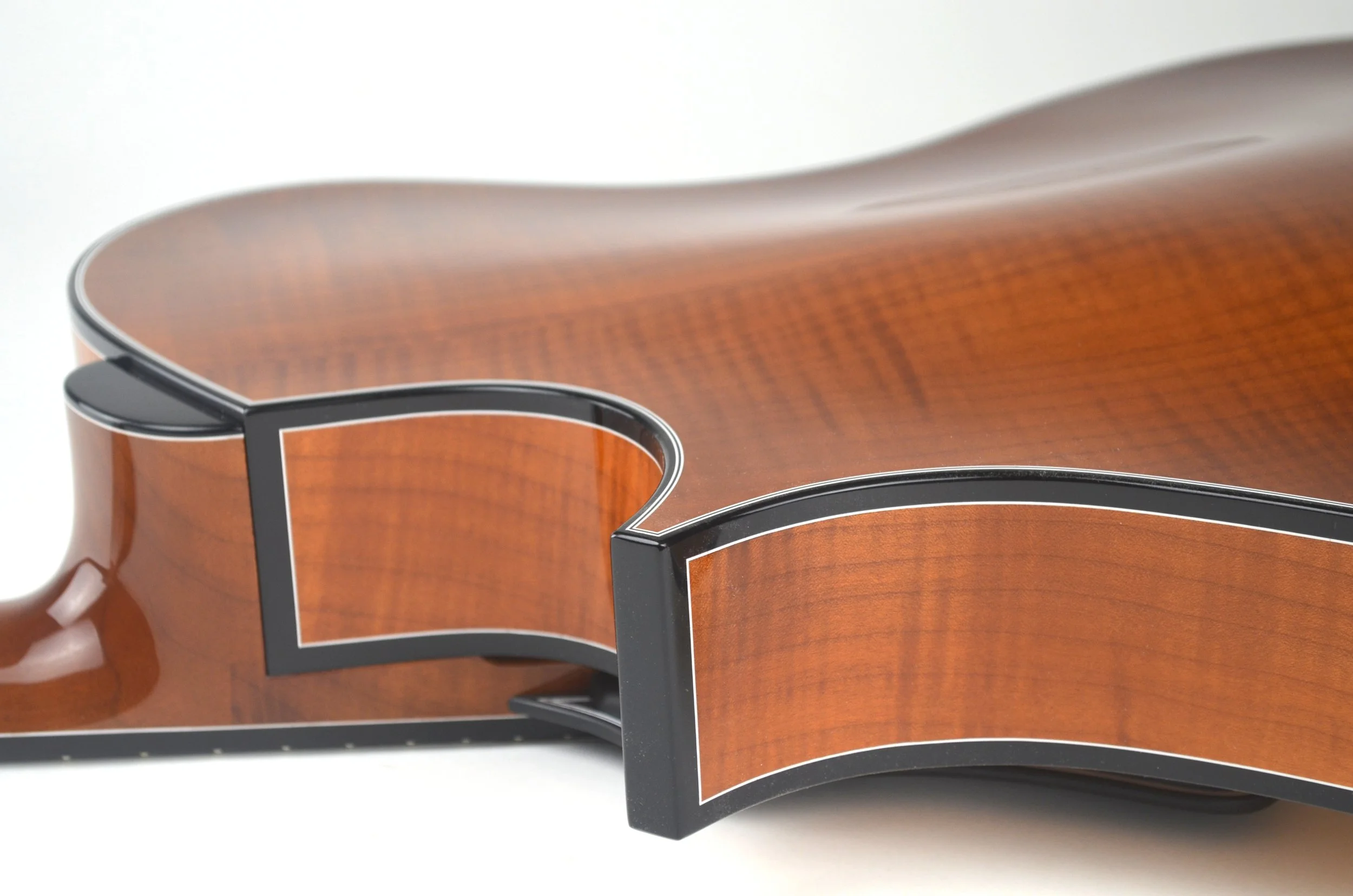 Heel,Back,Horn.JPG