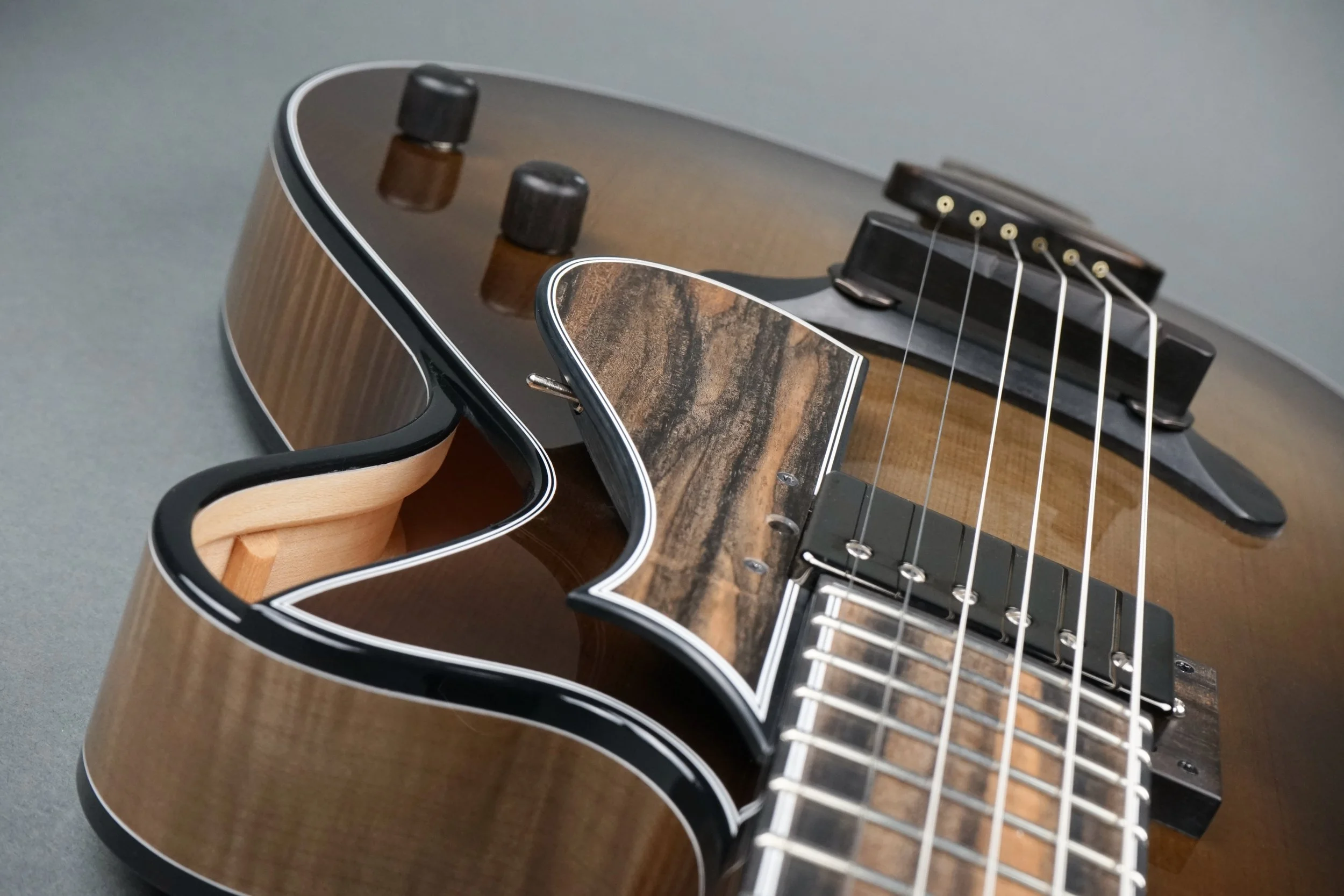 FretboardEndPickup.jpg