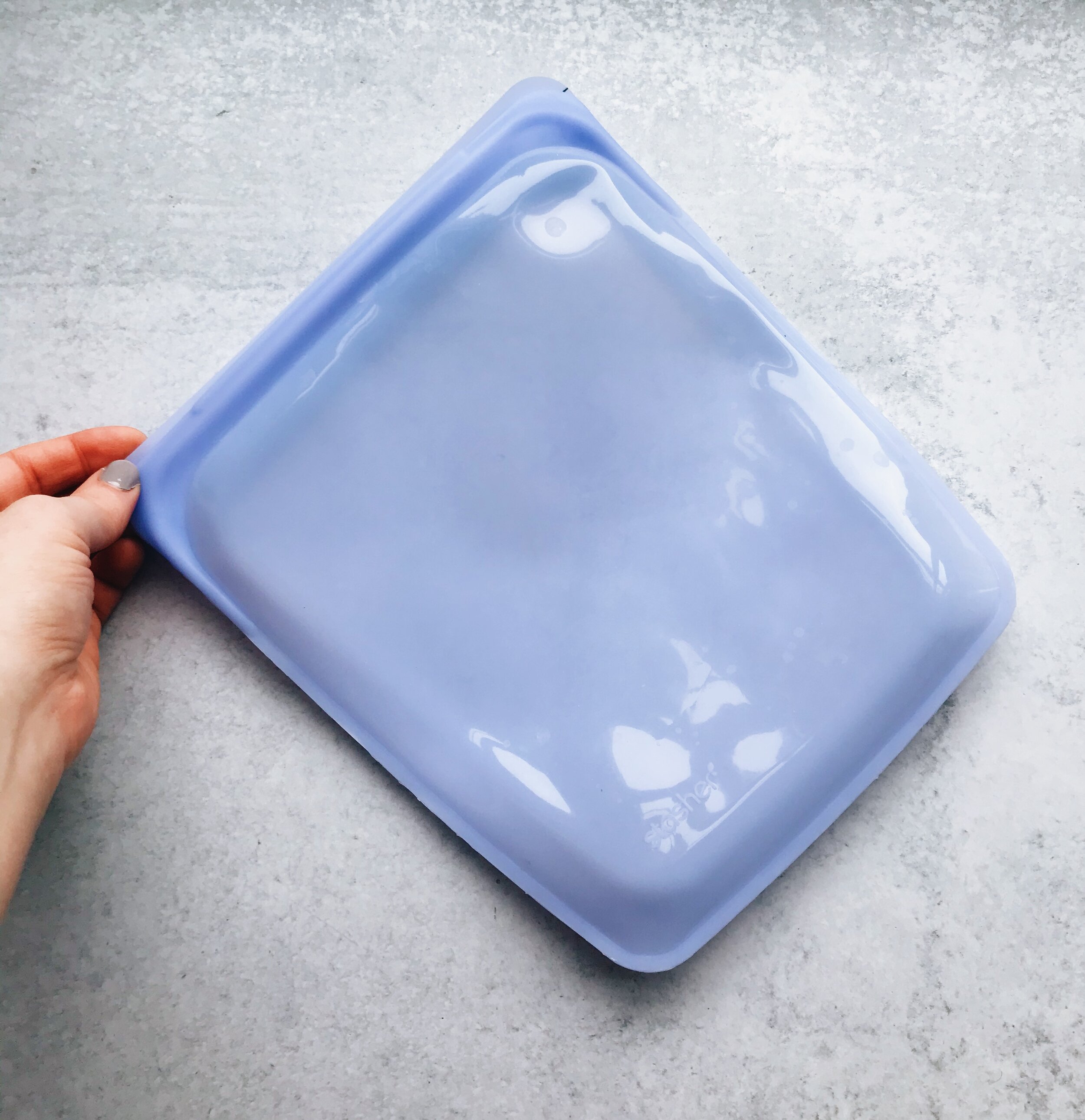 Stasher Silicone Bag Review: Great for Sous Vide Cooking
