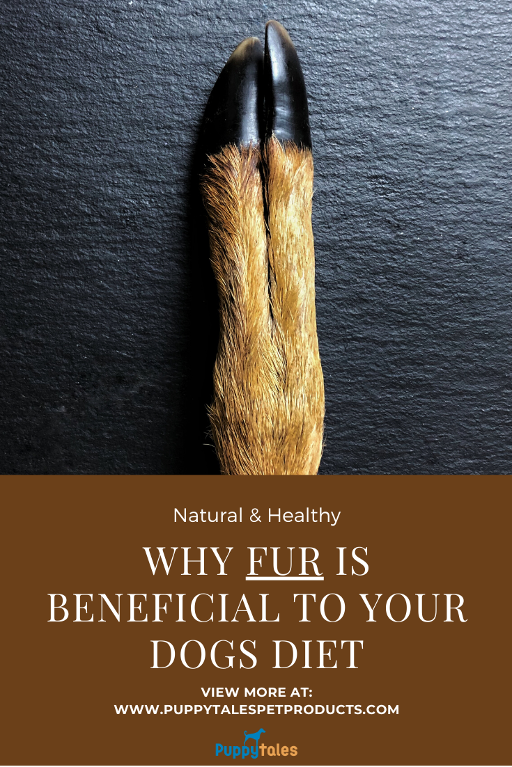 What Is A Natural Wormer For Dogs