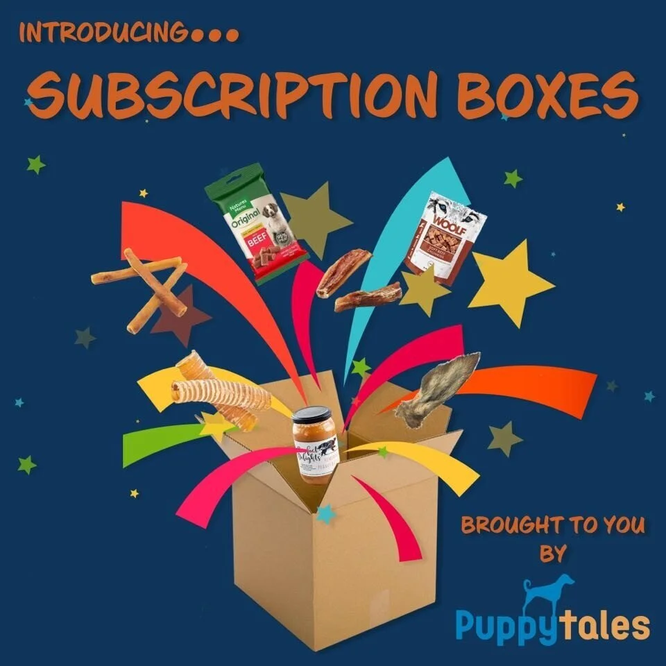 puppy boxes monthly