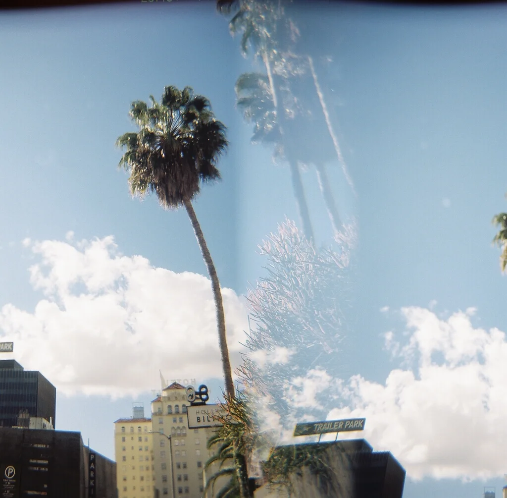 120mm Film Shot on a Holga