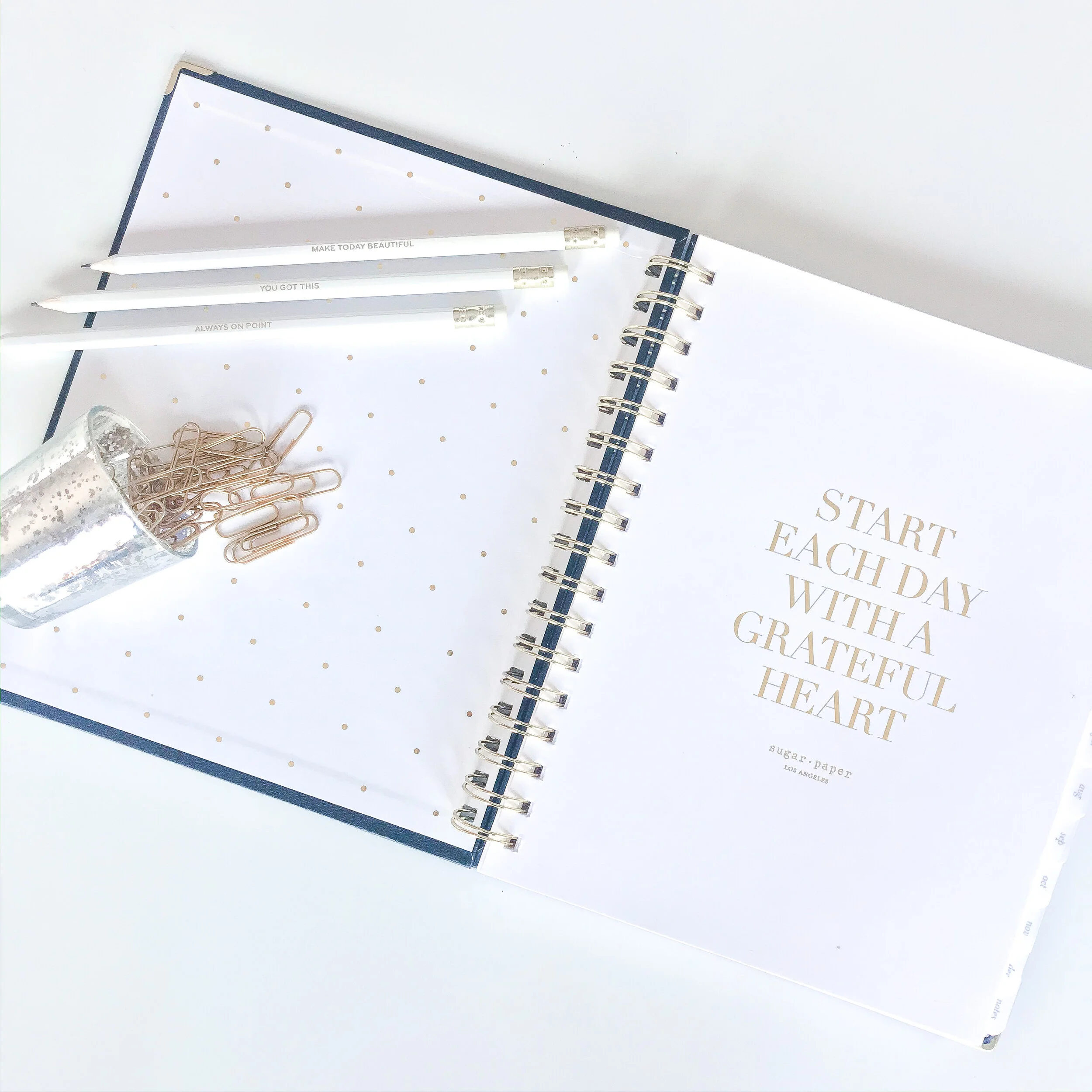 How I'm Staying Organized in 2020
