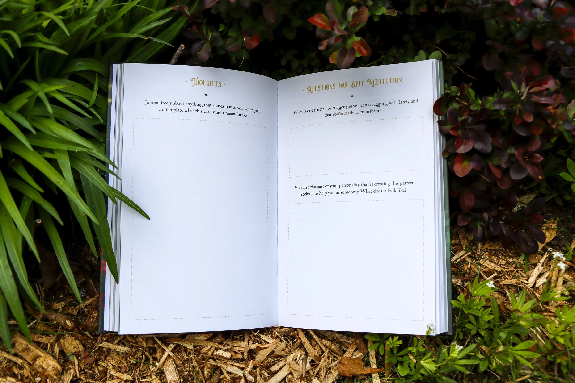 fairy-forest-journal-10.jpg