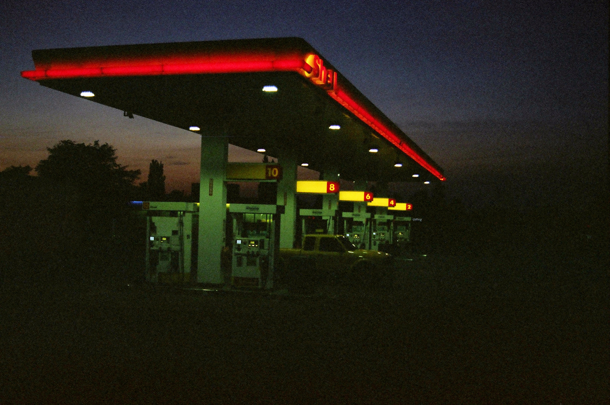 ShellB.jpg