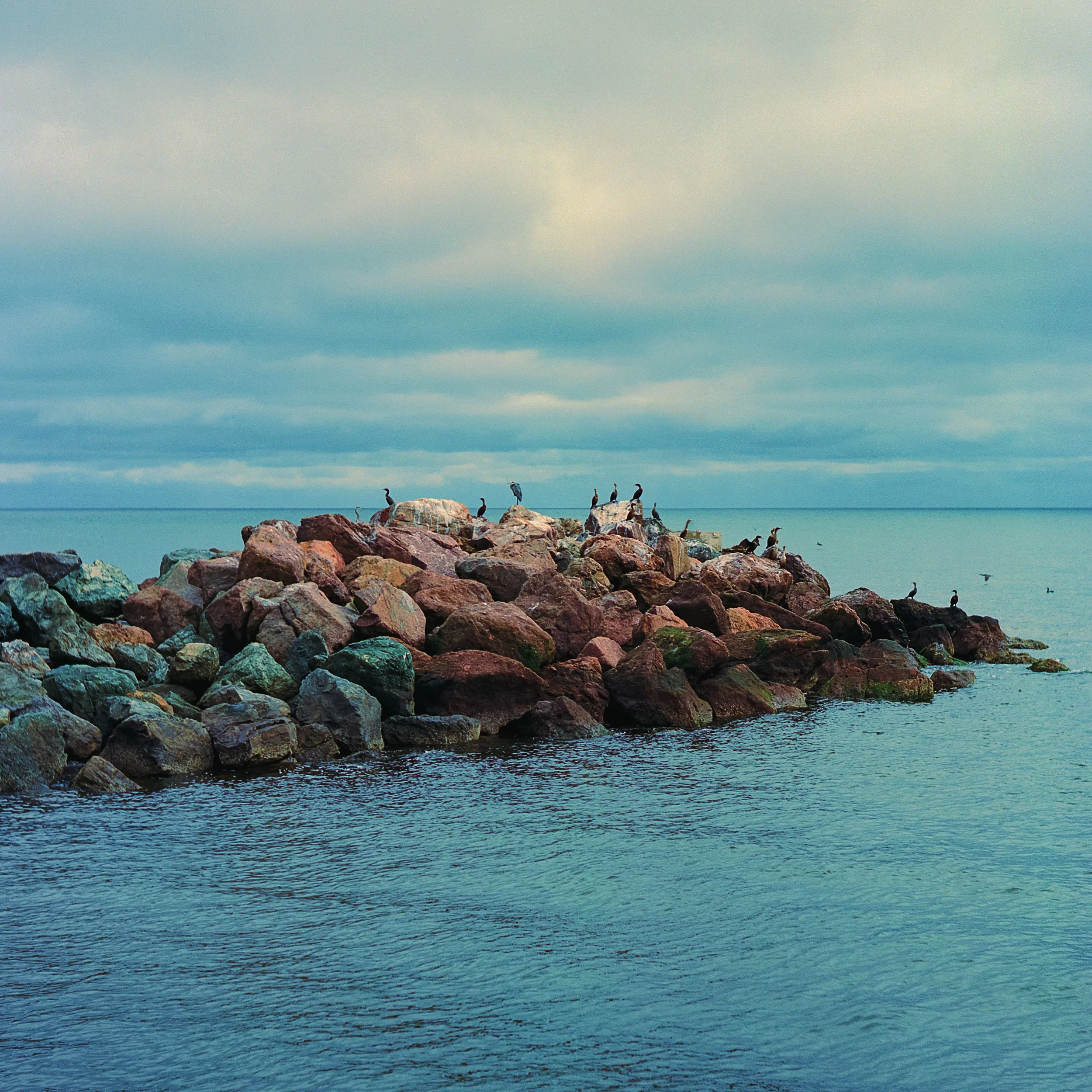 frame2_oct23_2585.jpg