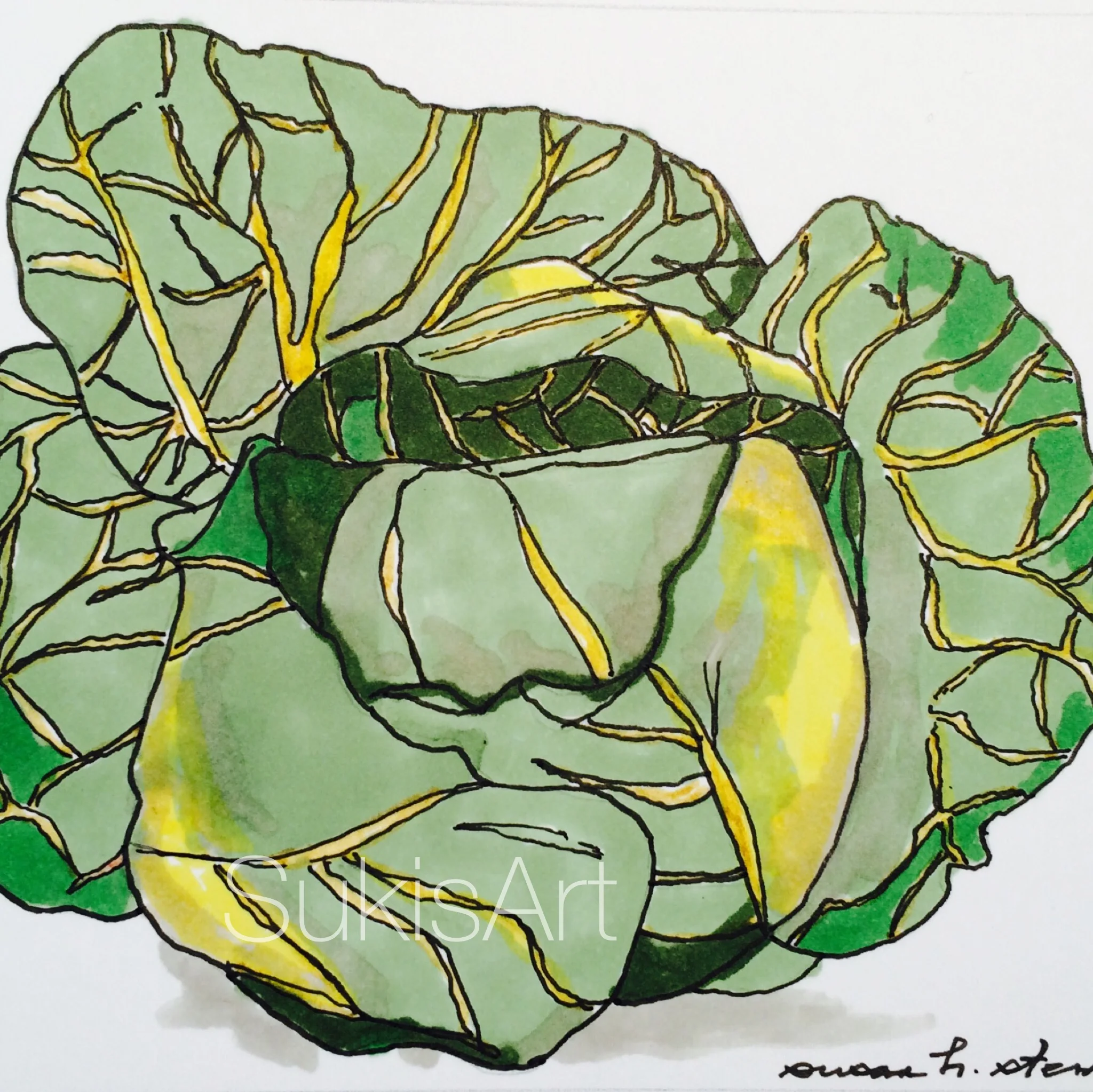 Architectural Cabbage