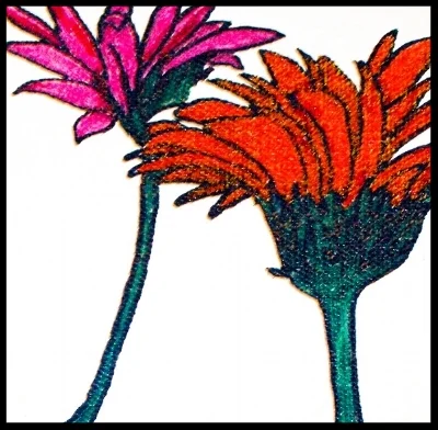 Gerbere daisies.jpg