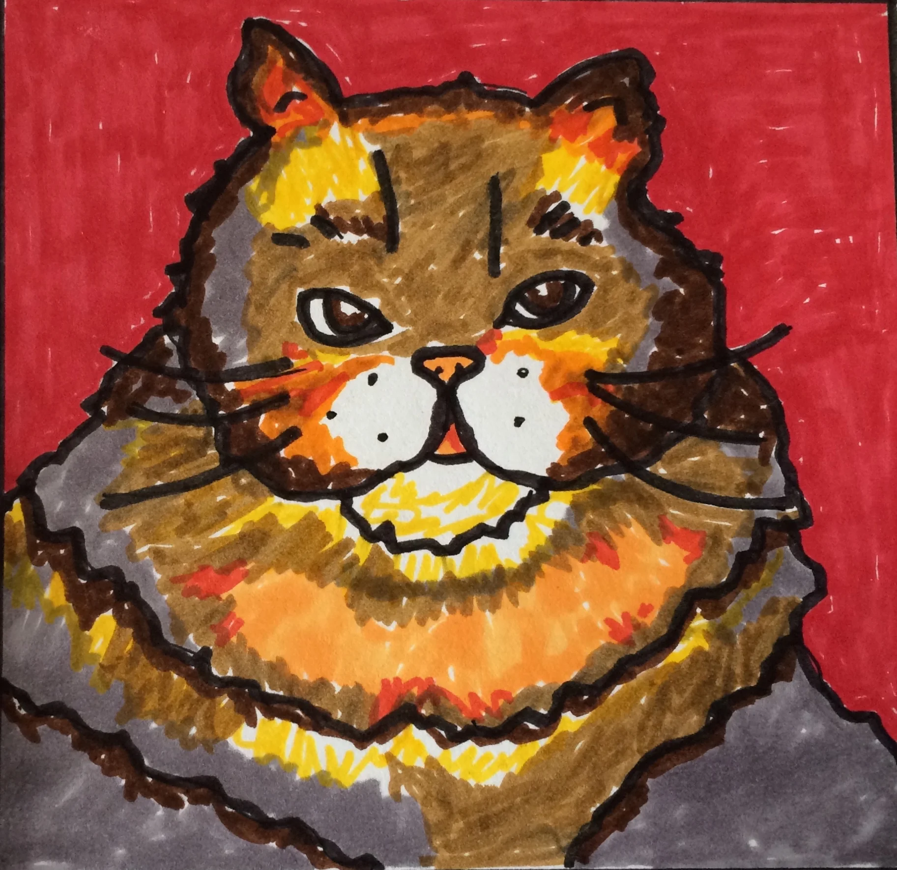 kitty copy.jpg