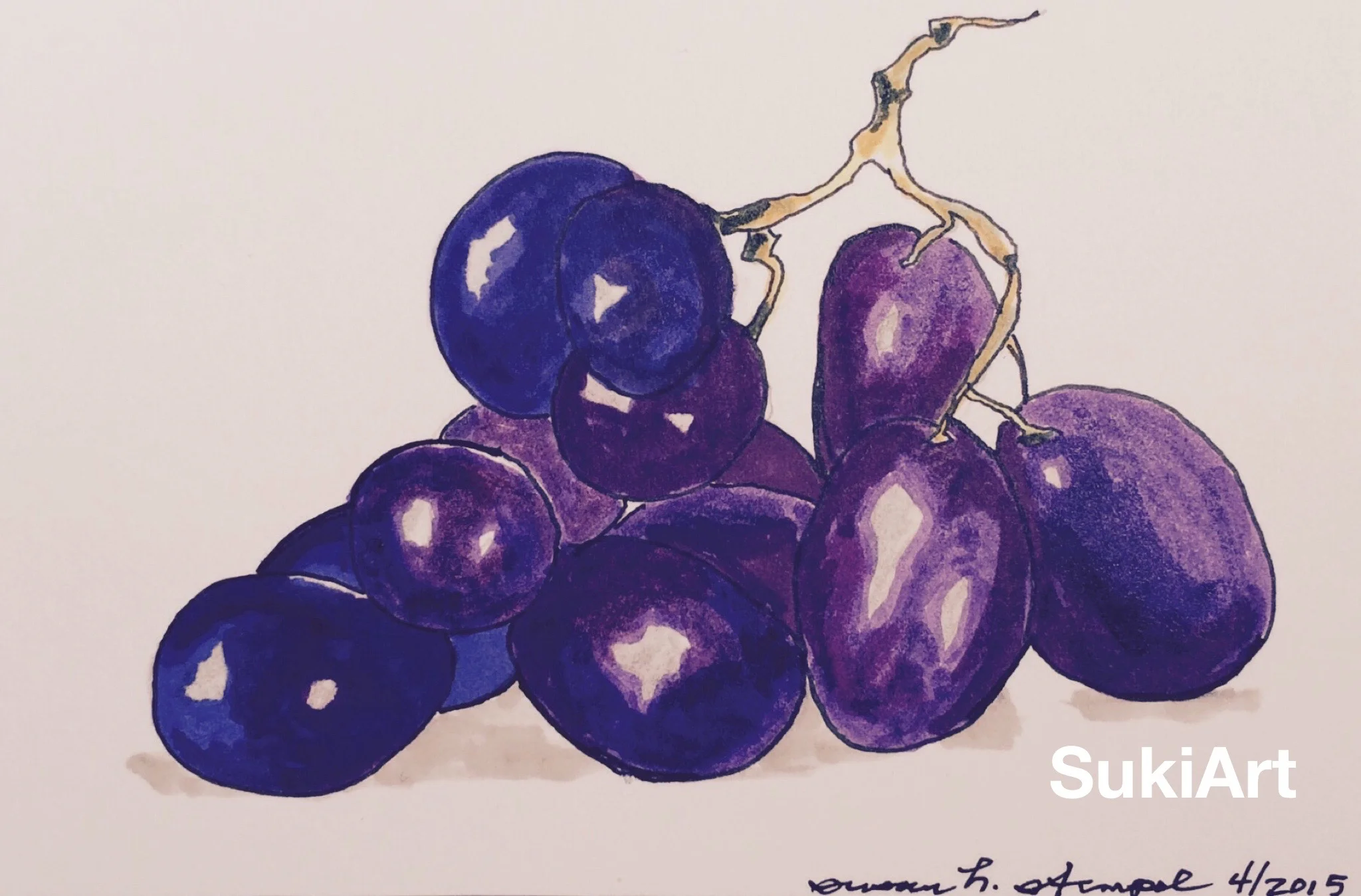 SOLD. 4" x 6" pen & ink on paper. "Group of grapes"