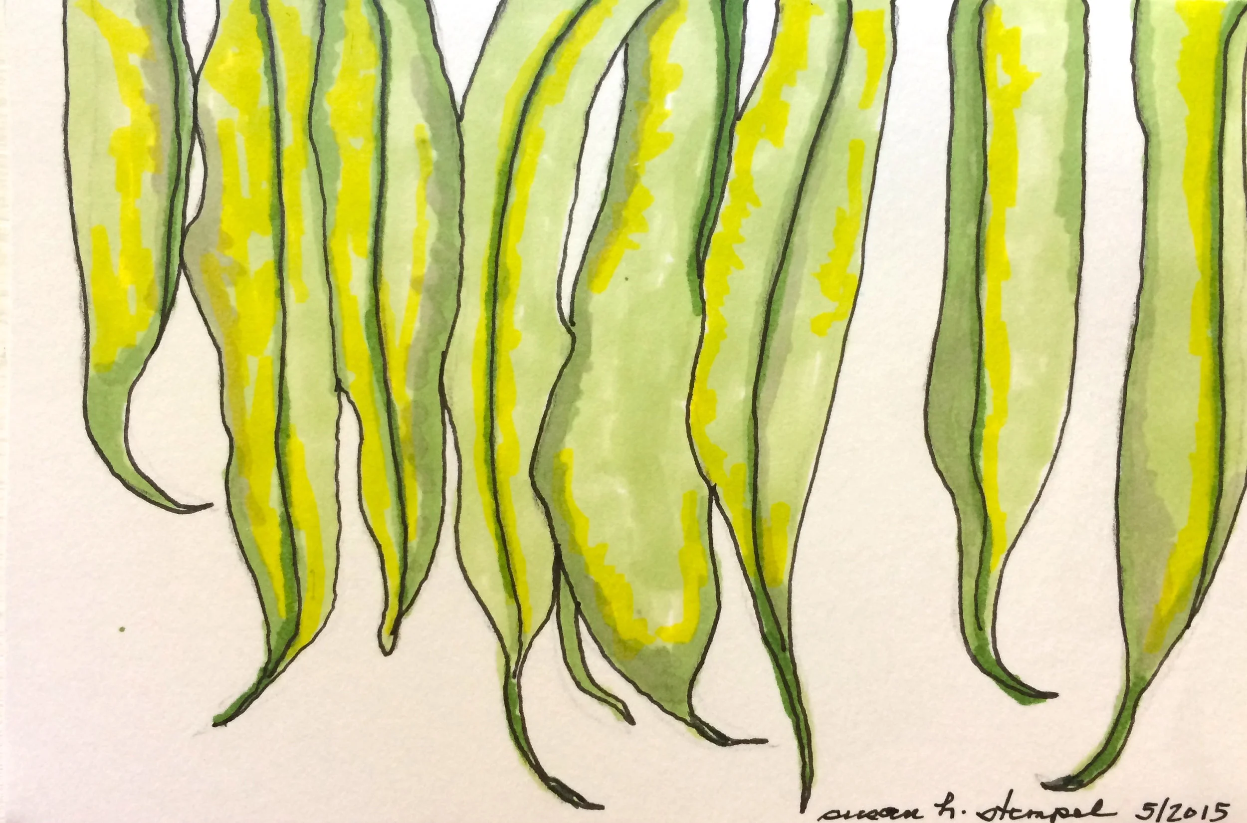 SOLD "4" x 6" pen & ink on paper. "Hanging beans:"