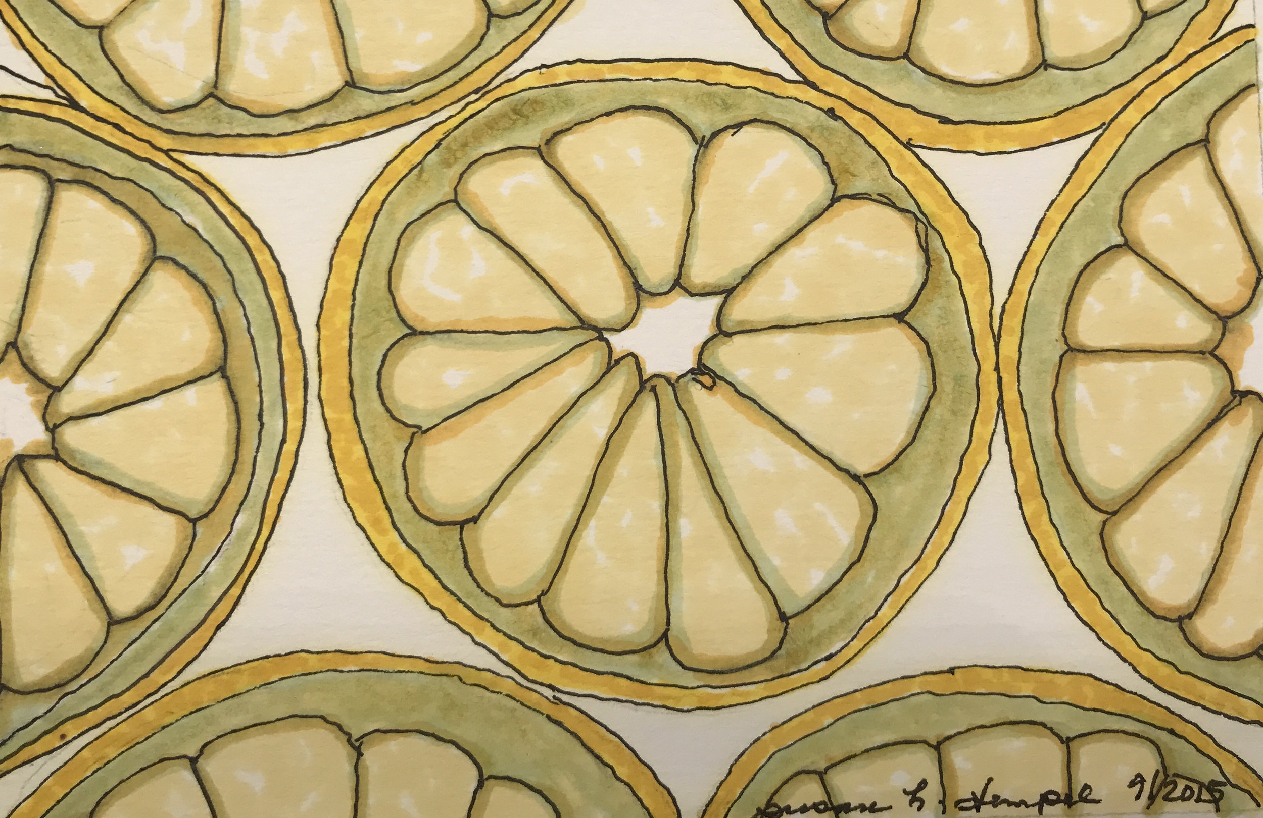$300. 4" x 6" pen & ink on paper. "Citrus"
