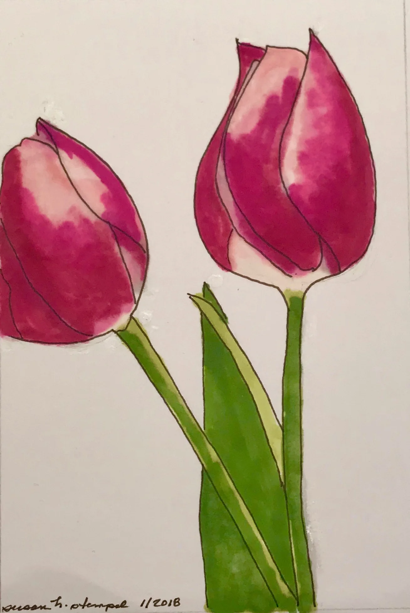 $300. 5" x 7" pen & ink on paper. "Two tulips"