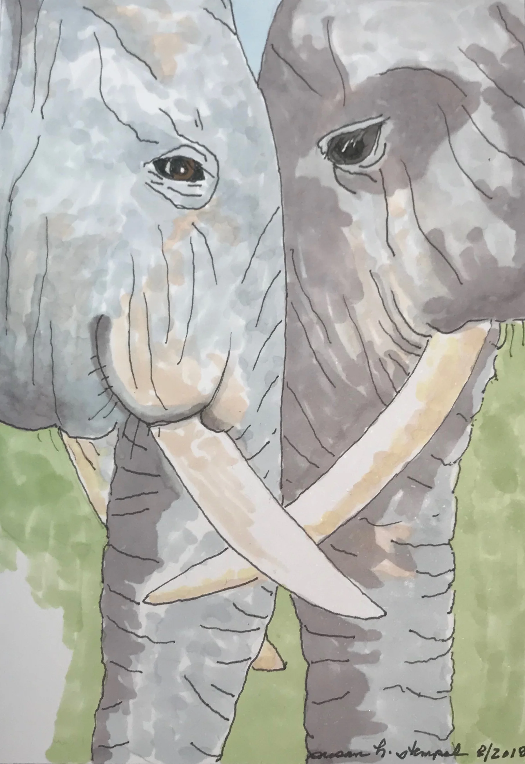 $300. 5" x 7", pen & ink on paper. "Elephant Love"