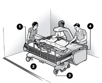 Sliding Assisted Trnsfr to Densitometer.jpg