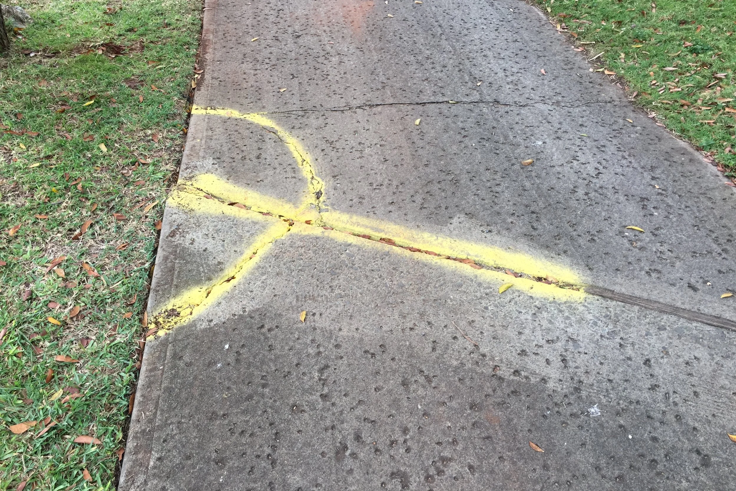 Hawaiian+Sidewalk+Elevation+Markings.jpg