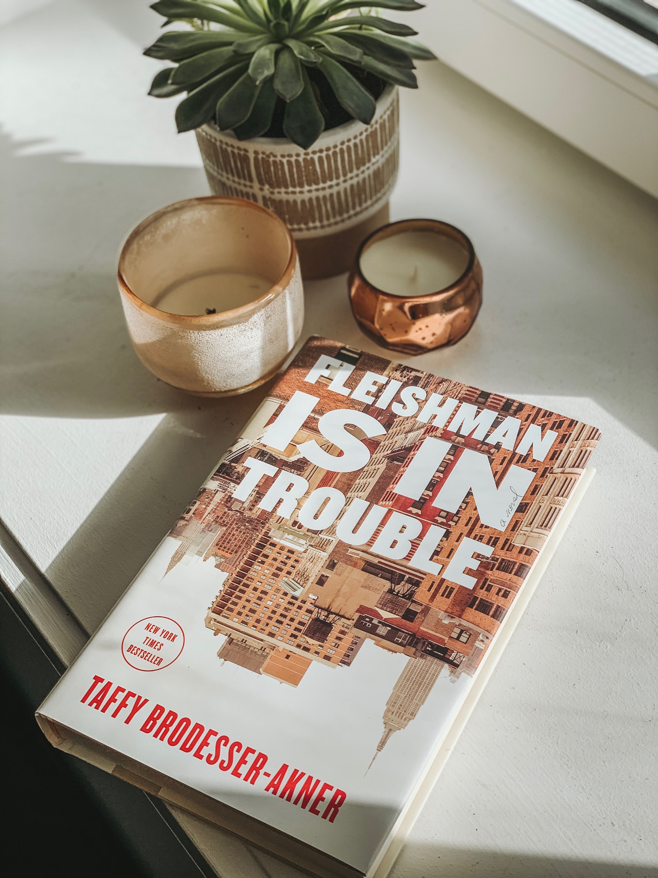 BOOK REVIEW: Fleishman Is In Trouble by Taffy Brodesser-Akner