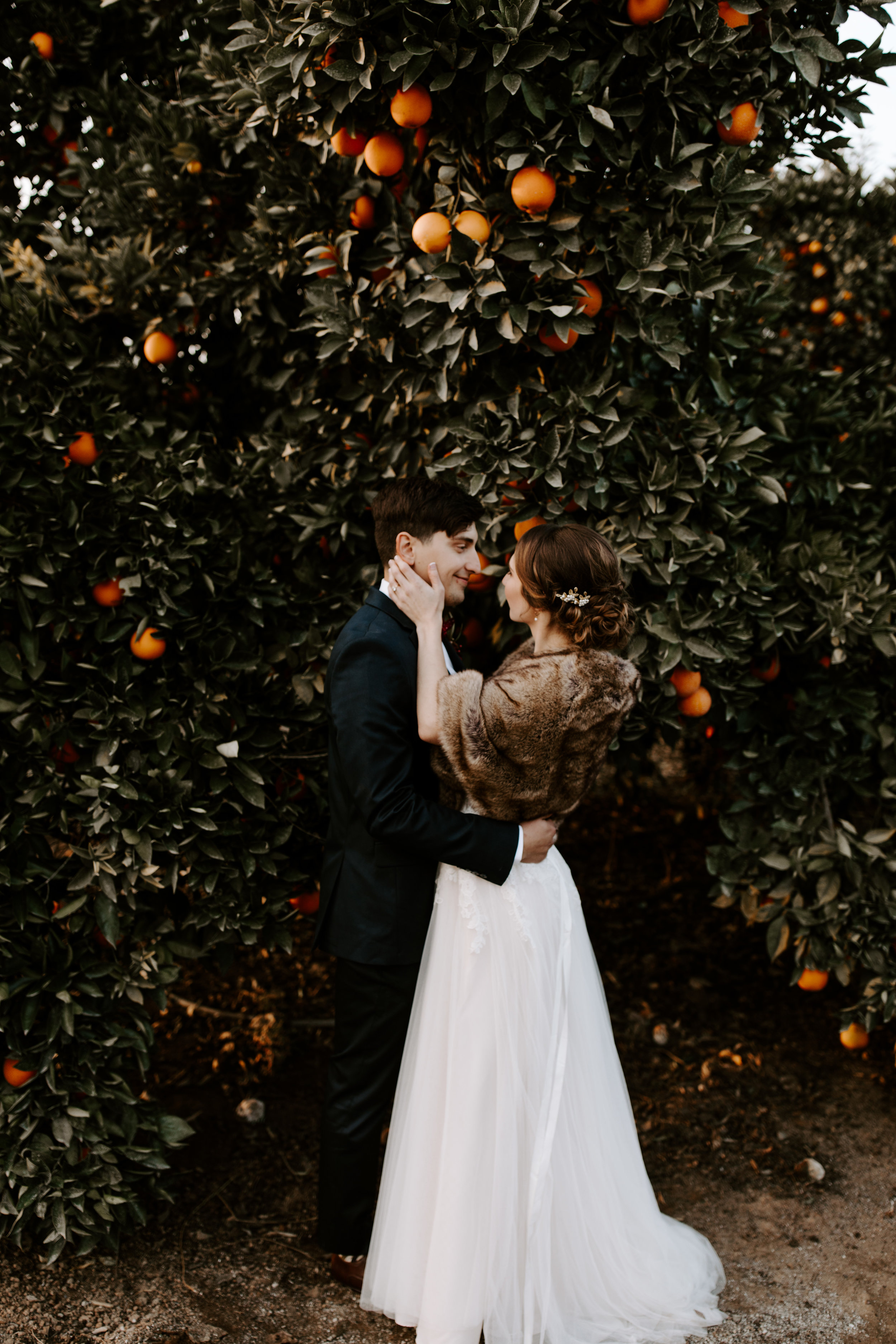 Seven Sycamores Ranch Wedding Gabby & Yosef Emily Magers Photography-636.jpg