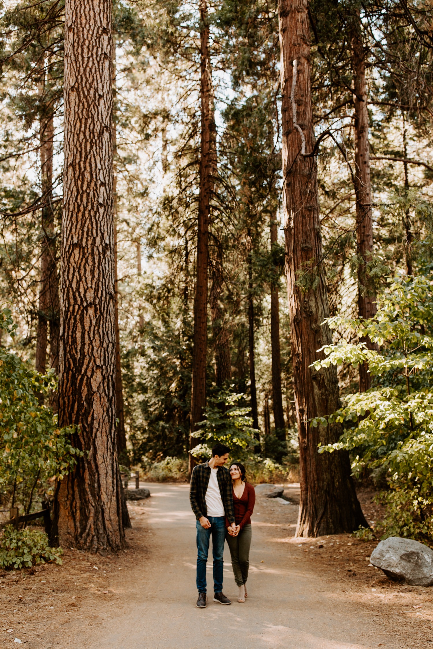 Couple standing in pine tree grove in Yosemite