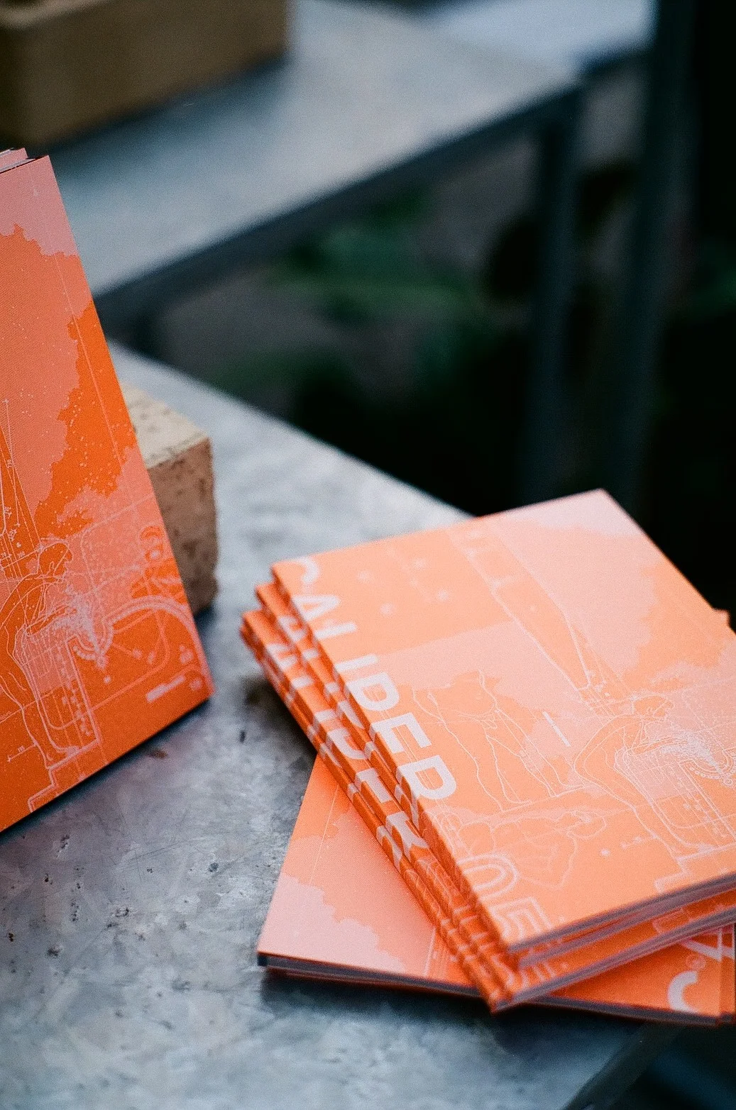 Issue 05 COLLAPSE. Image: Stephanie Pahnis