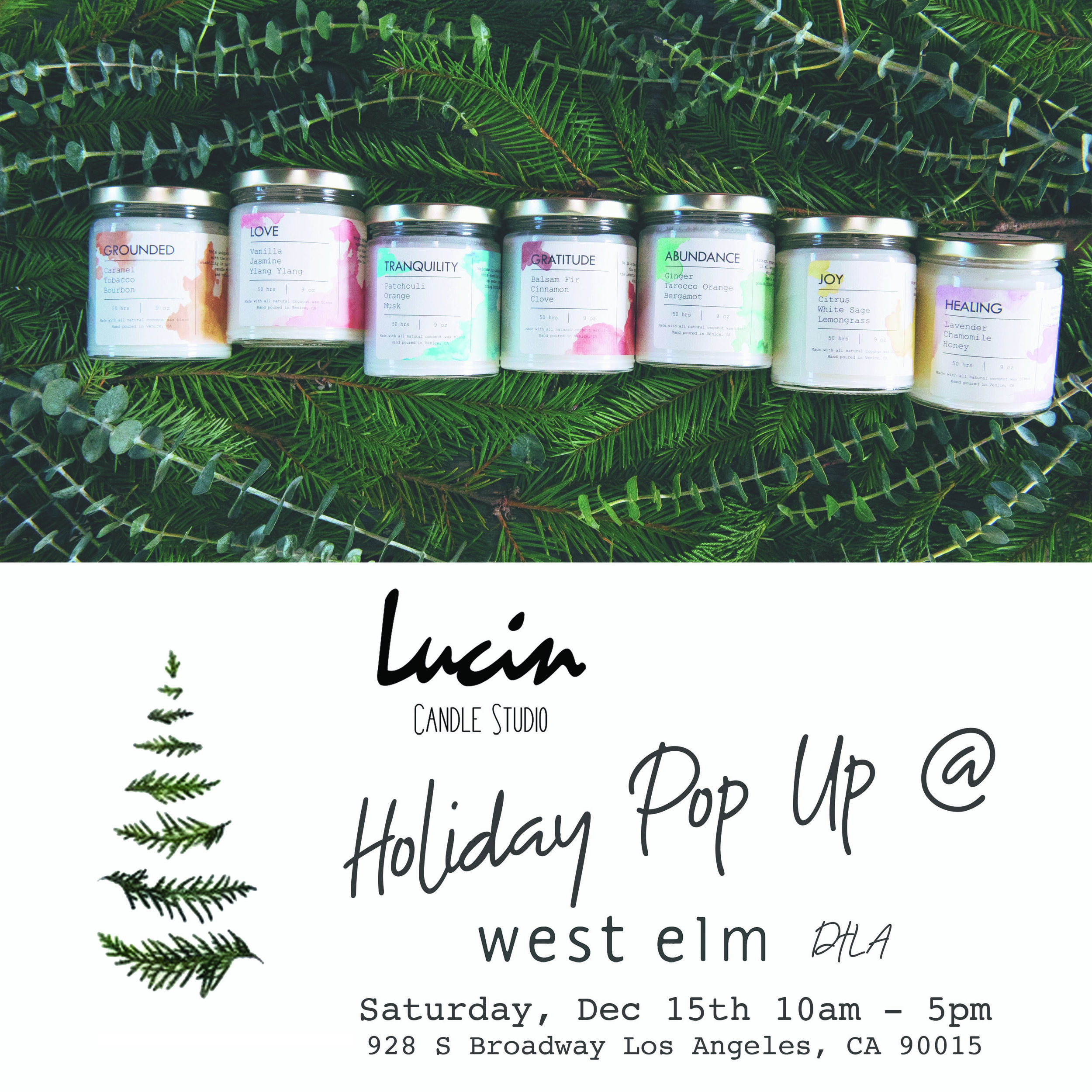 LucinWestlelmPopup.jpg