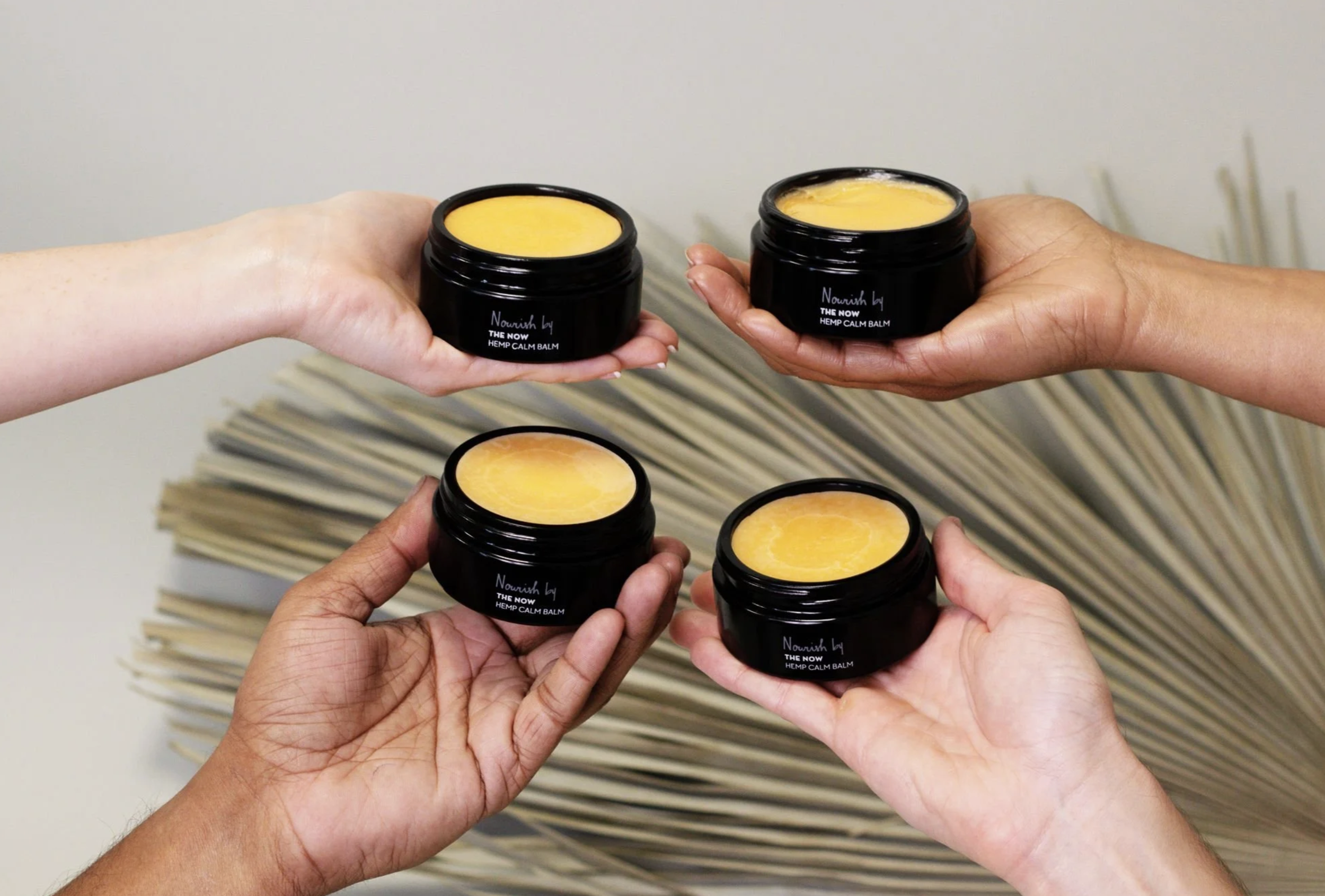 The NOW Hemp Product Launch