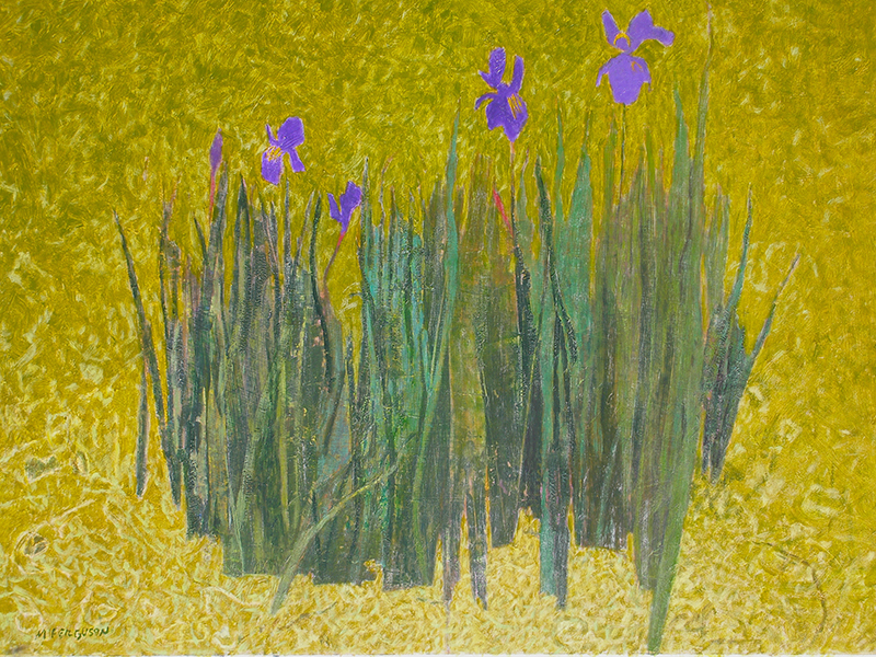 ferg greenIris.jpg