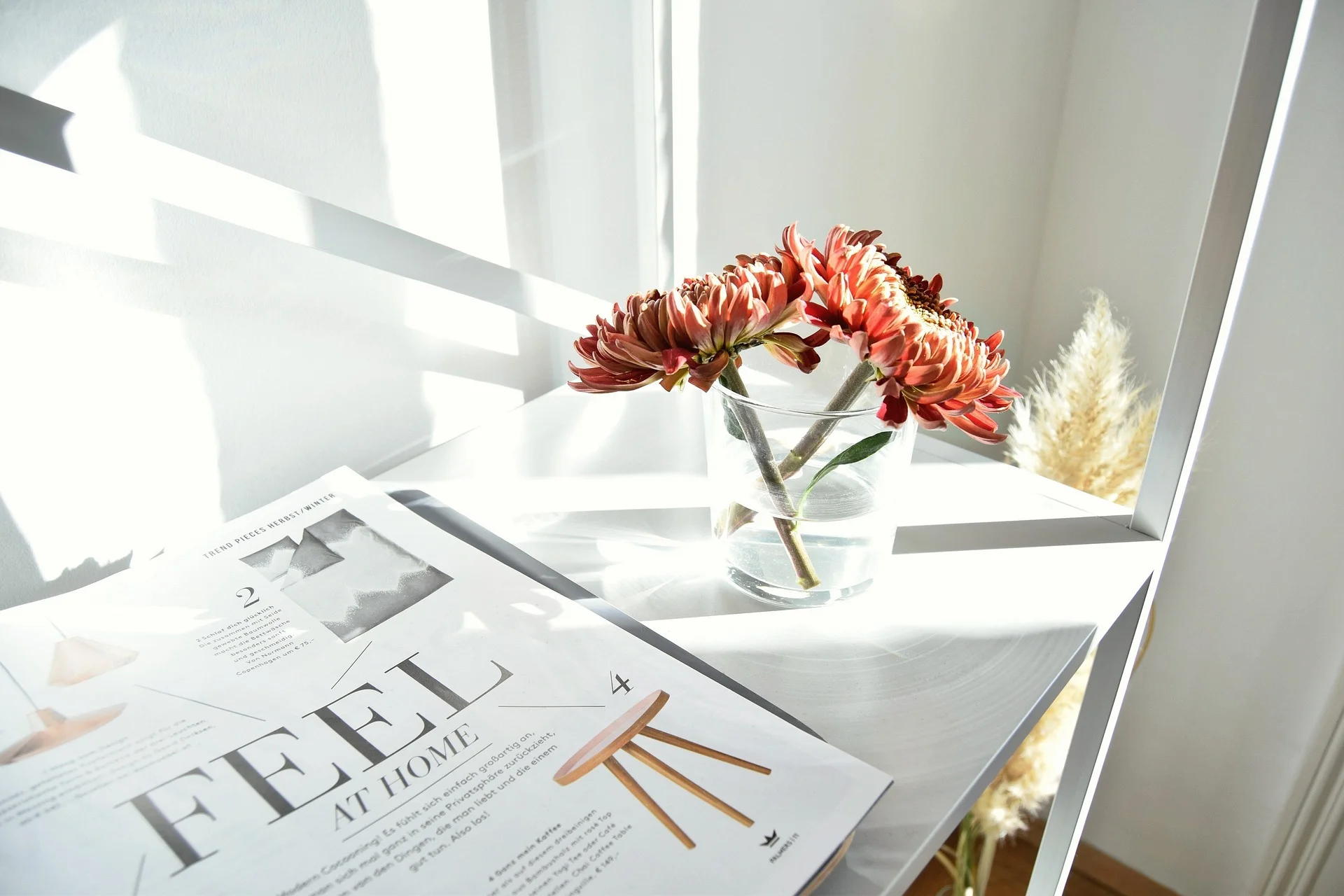 magazine-2559842_1920.jpg