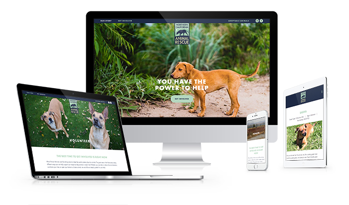 NorCalAnimalRescue_Website.jpg