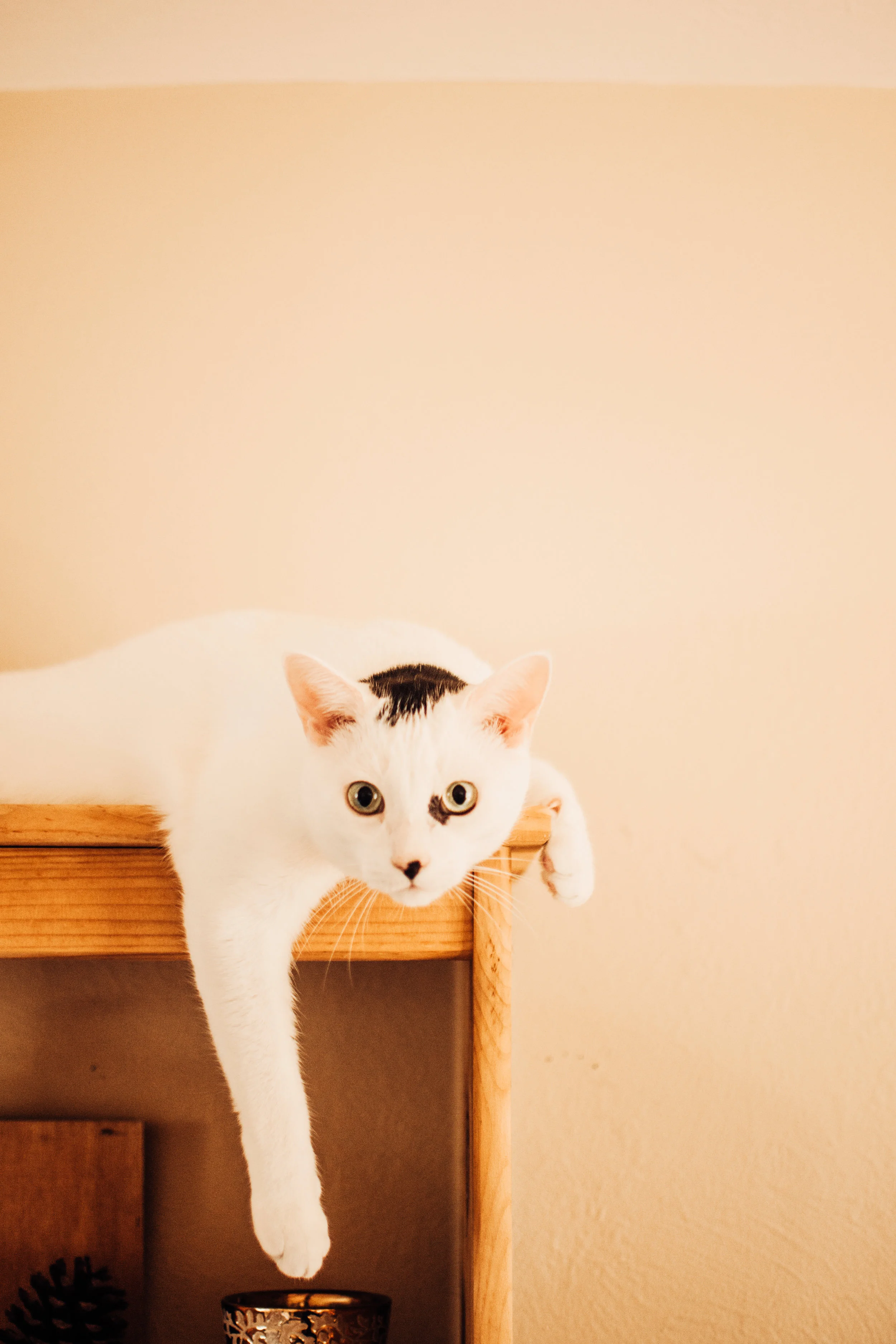 kaseykingphoto-toddaliciainhome-12.jpg