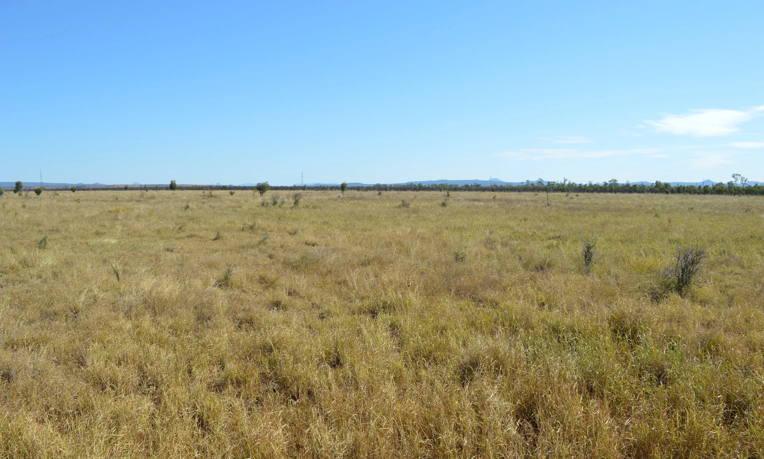 Dysart Station - 2016_7.JPG