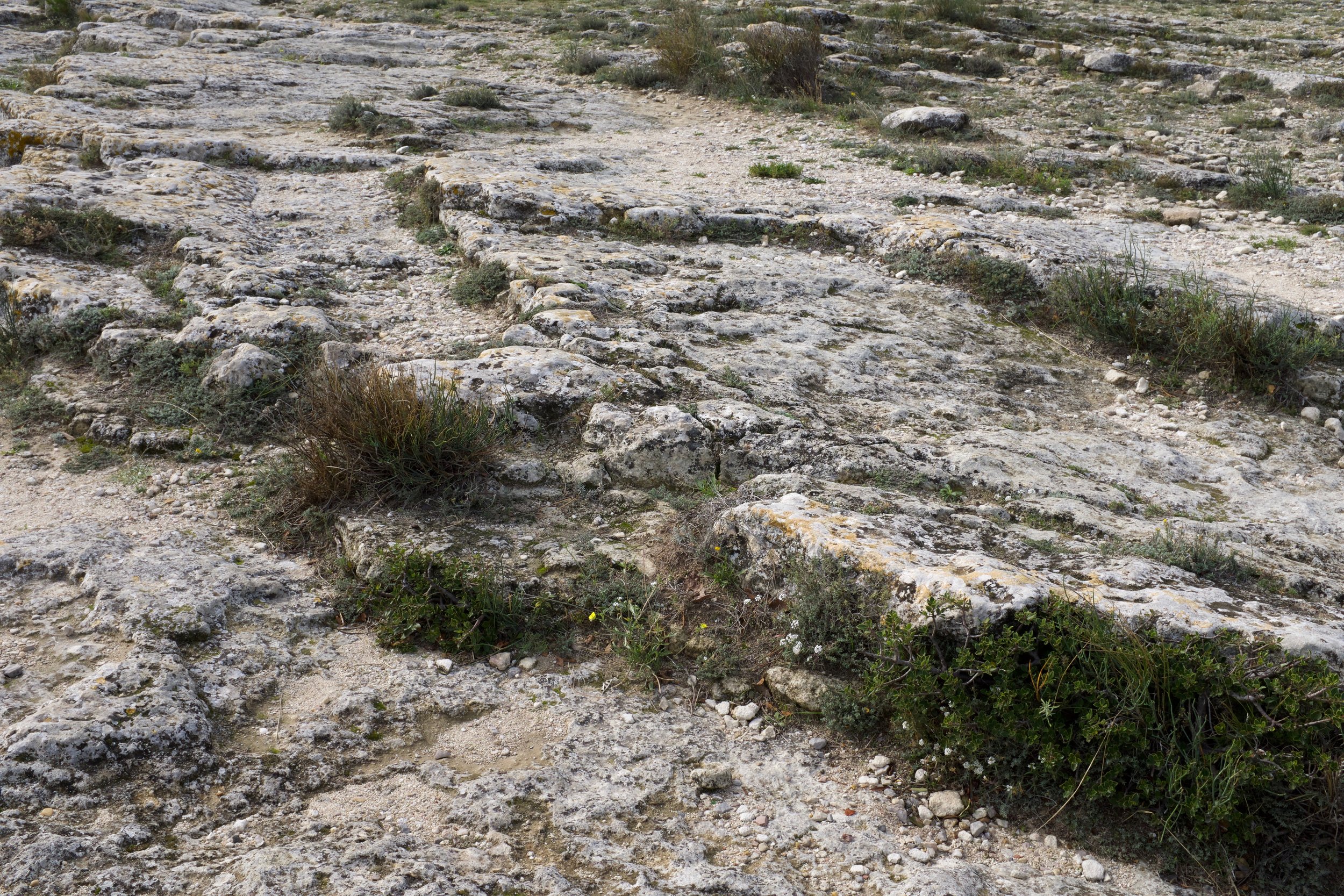 Baux-de-Provence [2018]