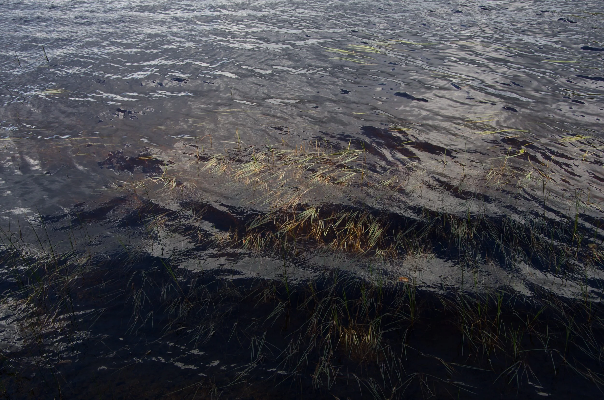 St-Félix-d'Otis [2021]