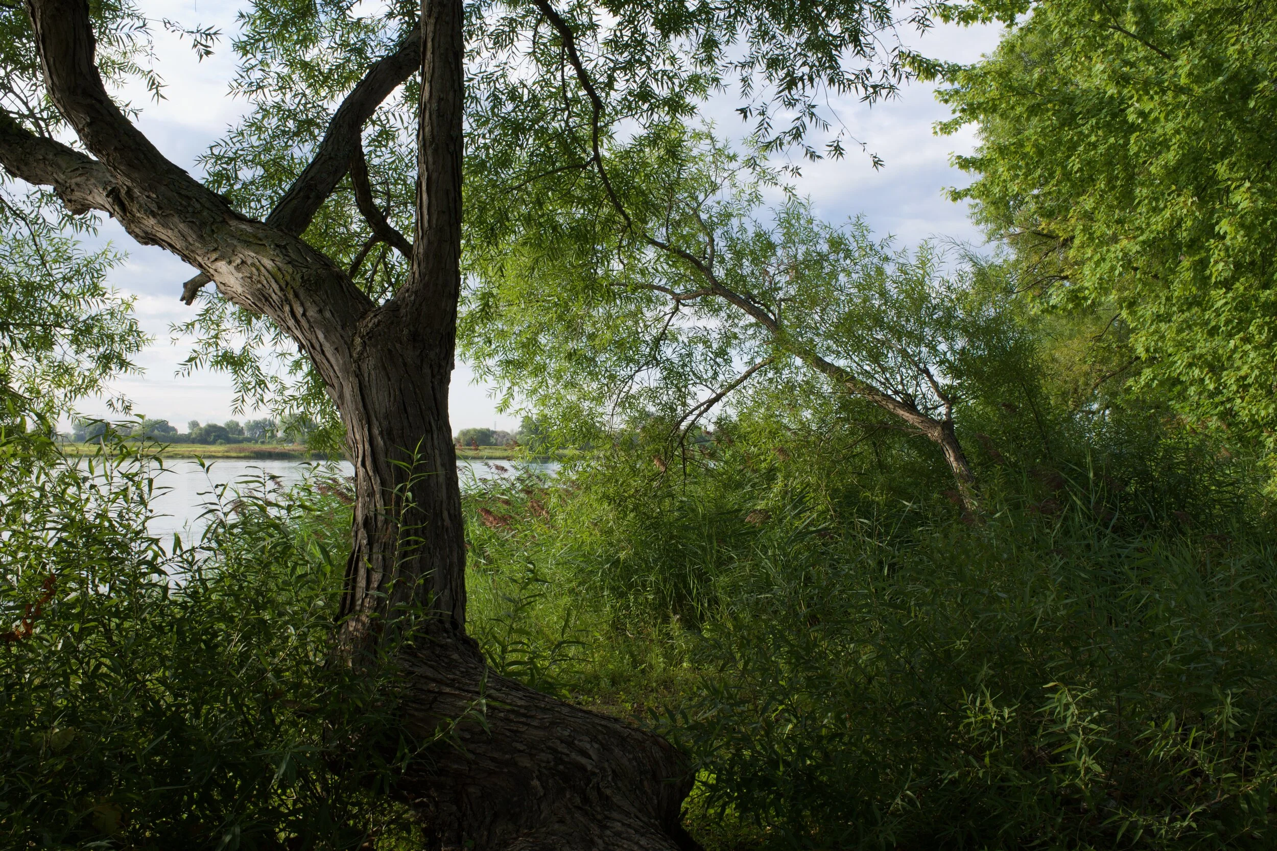 Pointe-aux-Trembles - Montréal [2021]