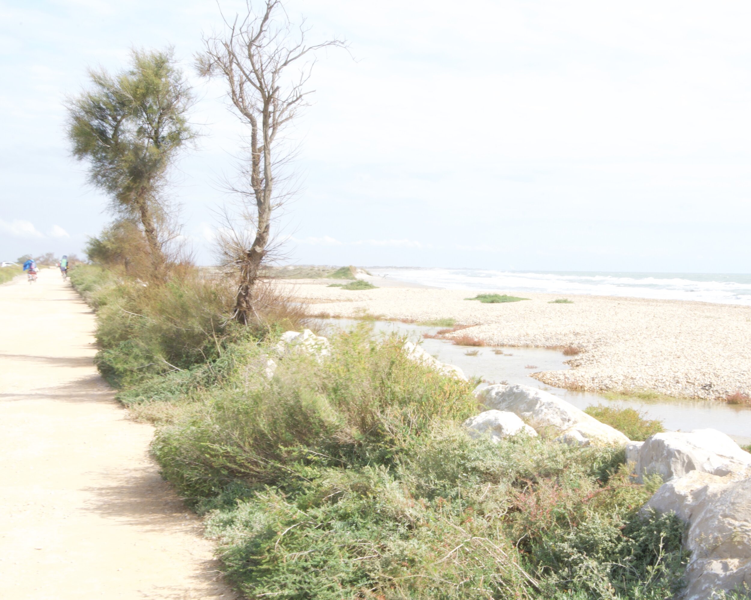 Saintes-Maries-de-la-Mer [2018]