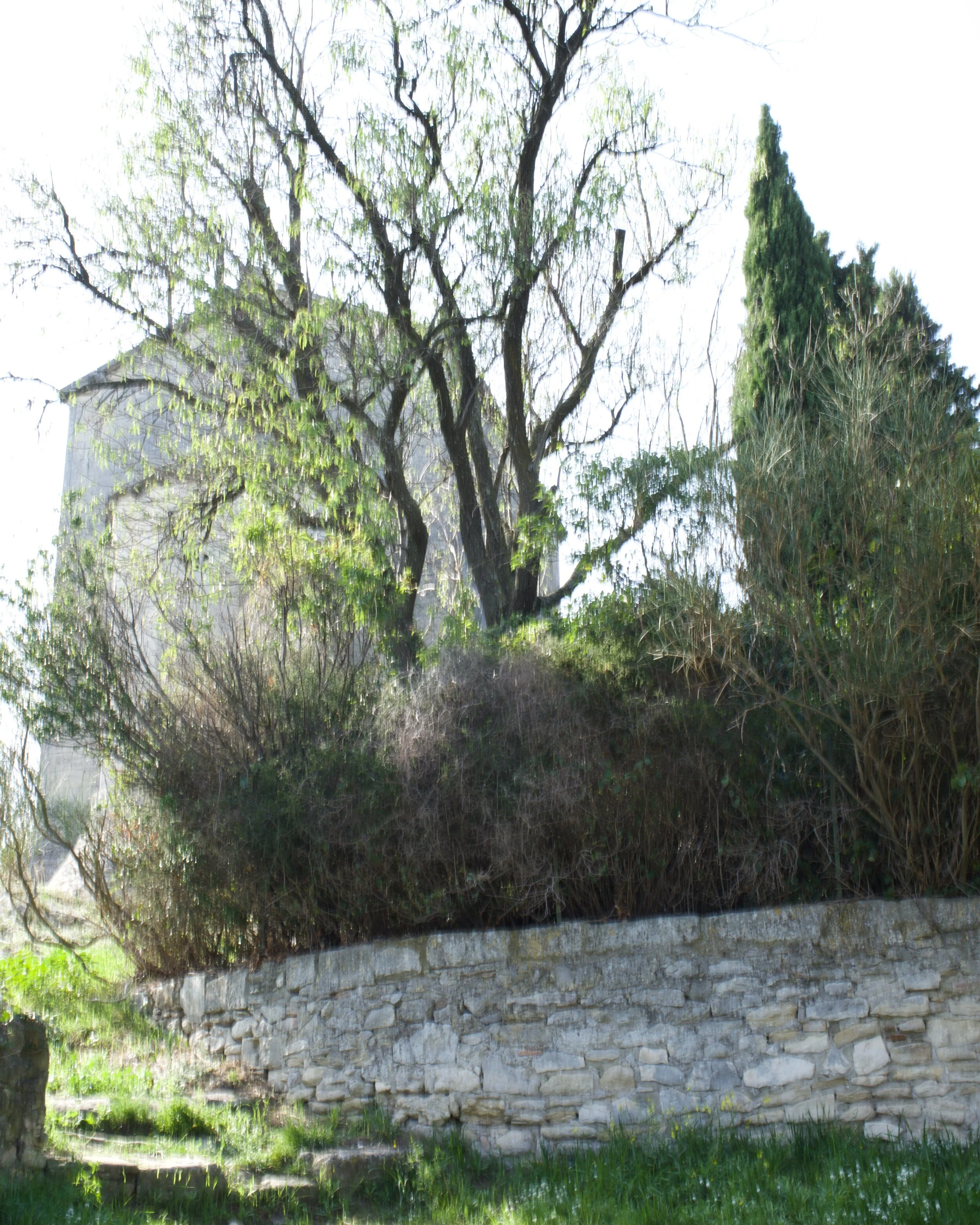 Villeneuve-les-Avignons [2018]