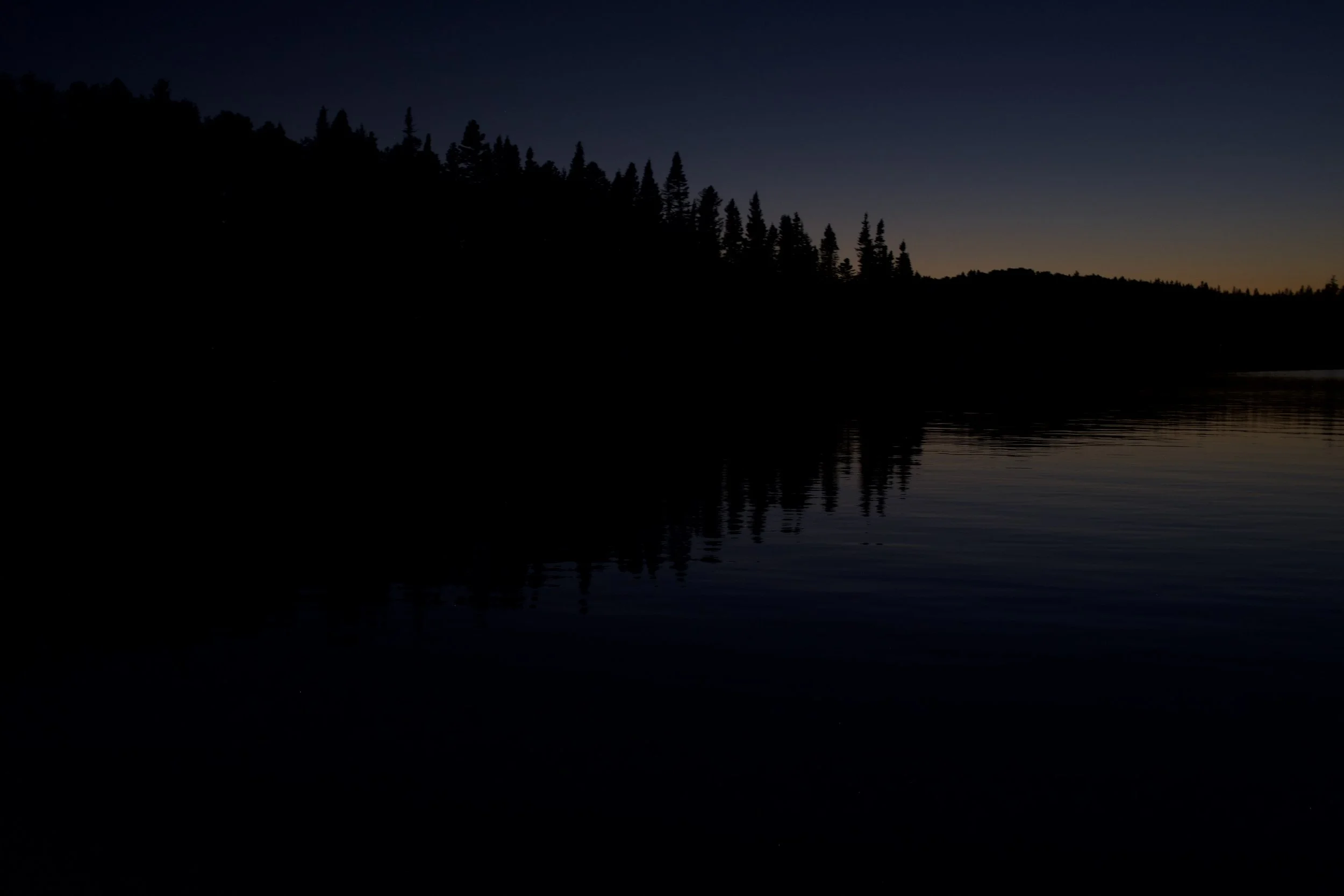 St-Félix-d'Otis [2021]