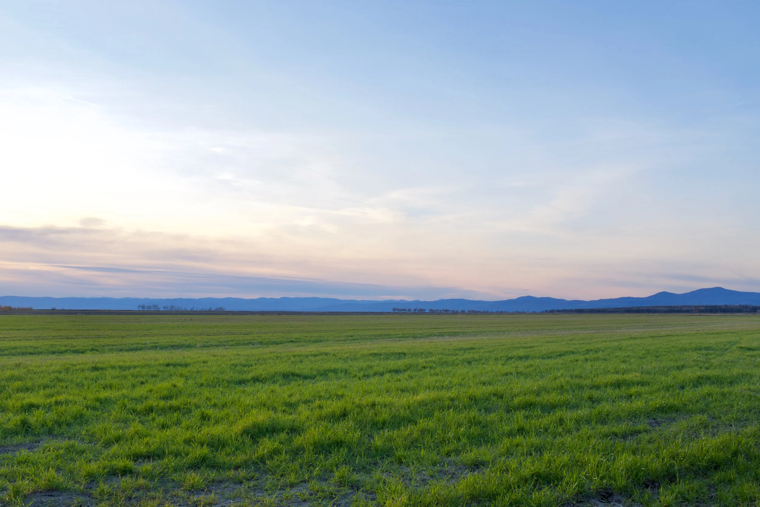 La Pocatière [2021]