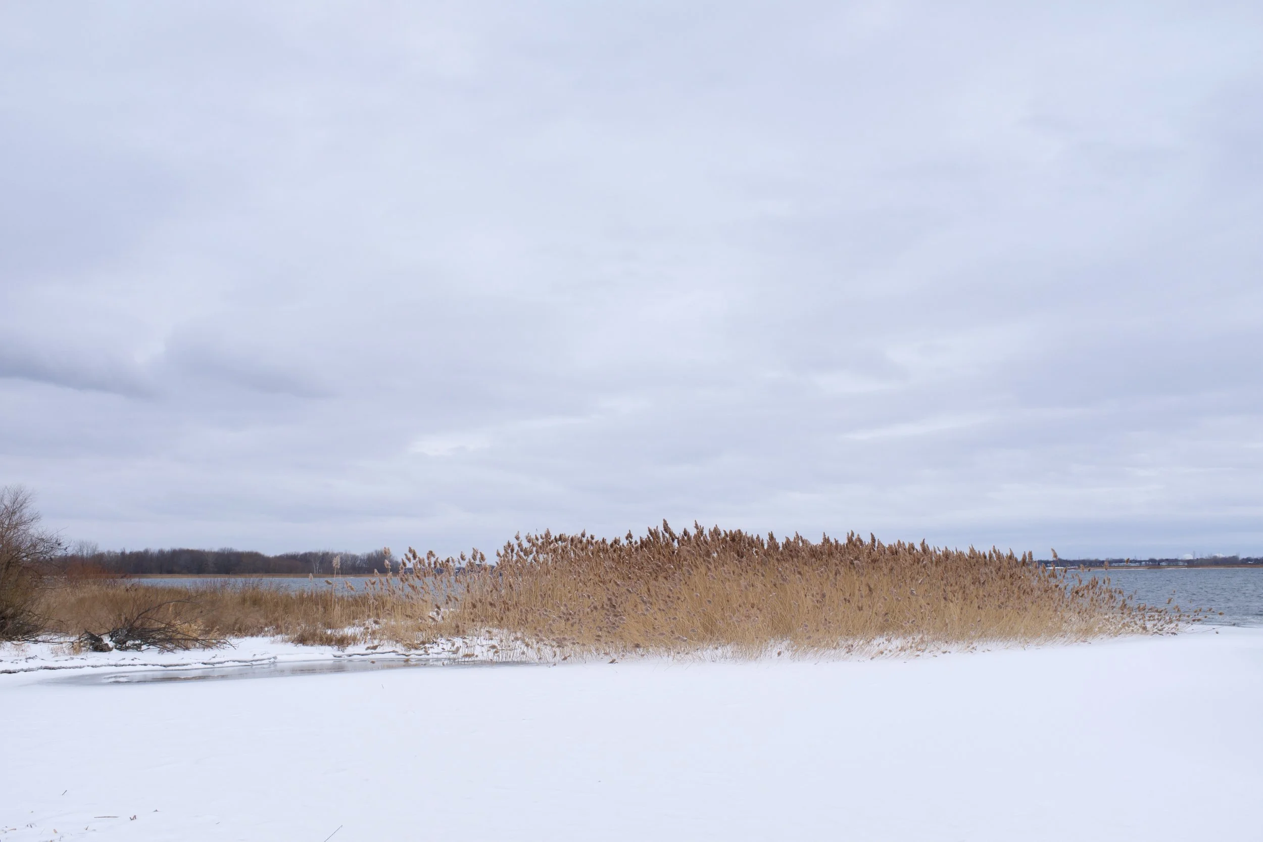 Boucherville, Longueuil [2021]