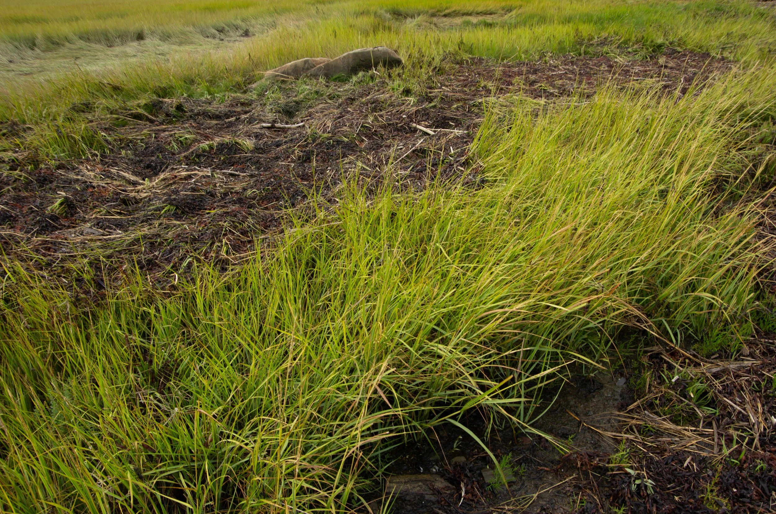 Rivière-Ouelle [2022]