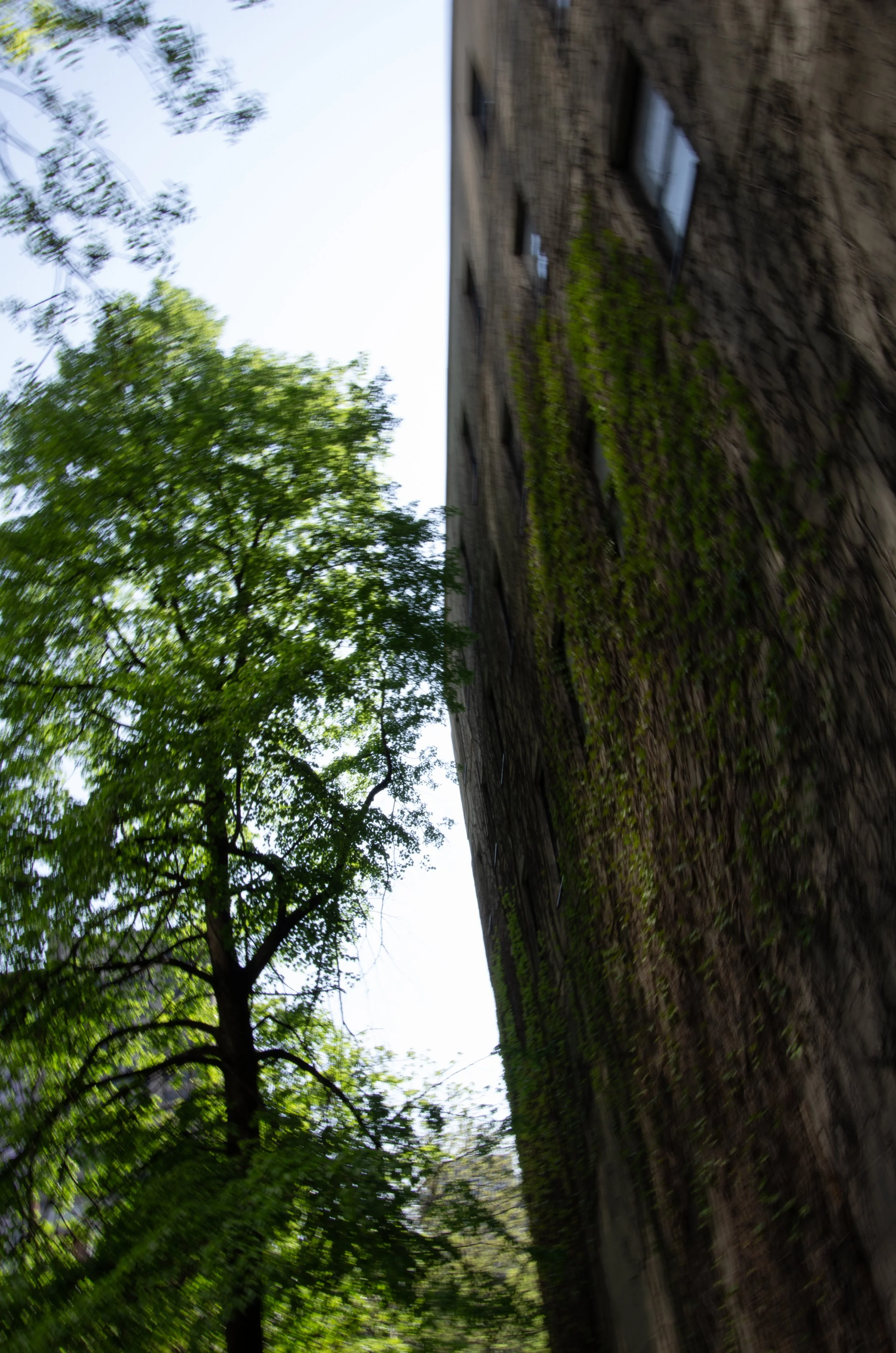 Pavillon Maass, rue Sherbrooke Ouest (I) - Montréal [2023]