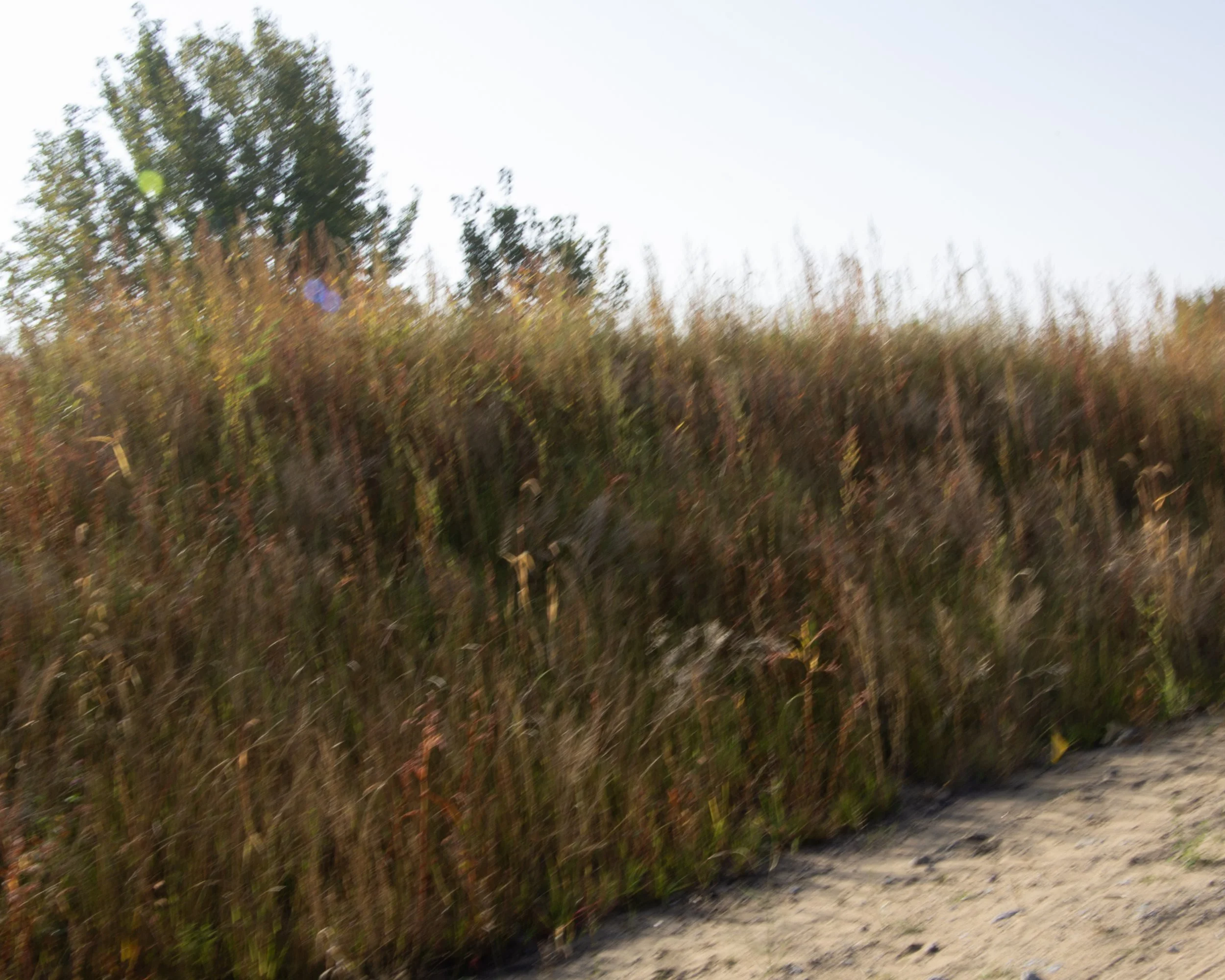 Vacant Lot, Cap-de-la-Madeleine - Trois-Rivières [2023]